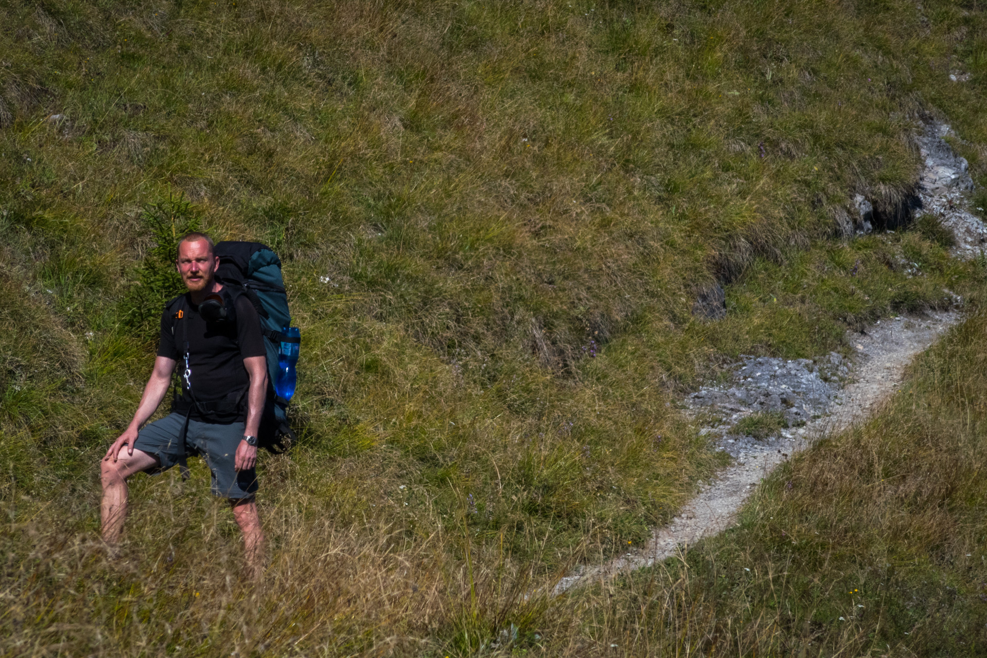 Zo Suchého vrchu cez Ploskú na voj. zotavovňu Smrekovica (Veľká Fatra)