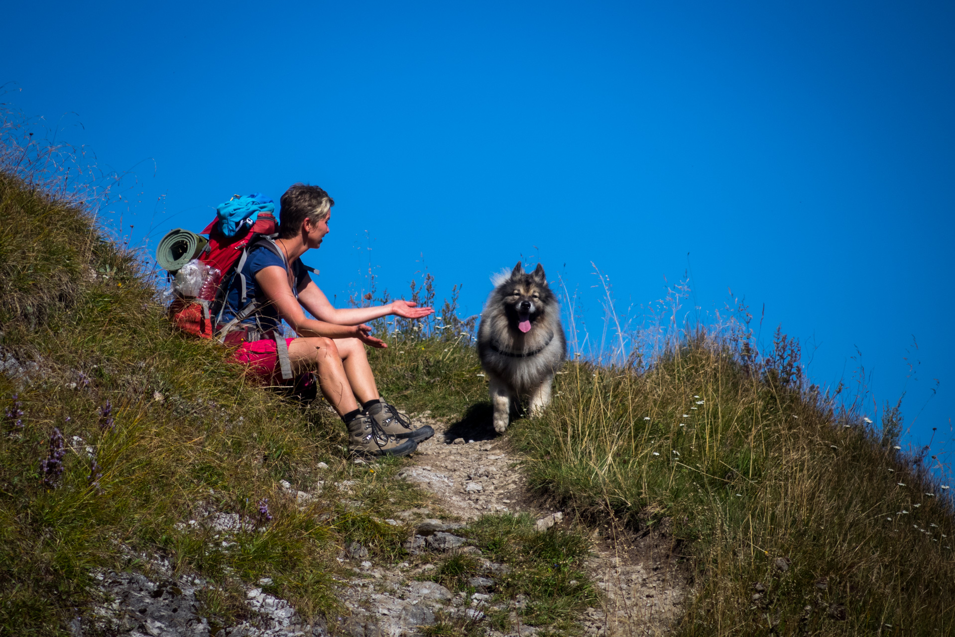 Zo Suchého vrchu cez Ploskú na voj. zotavovňu Smrekovica (Veľká Fatra)