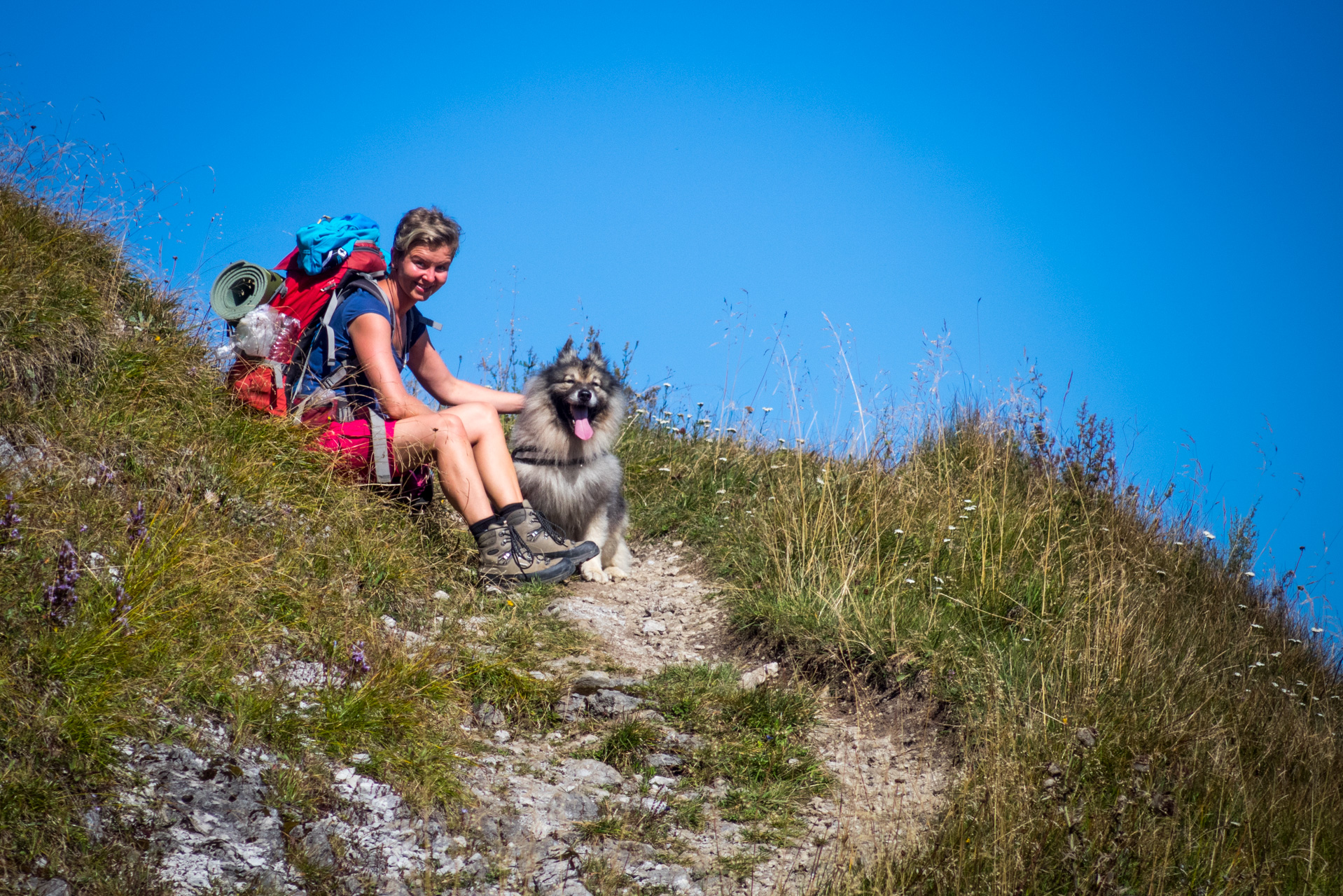 Zo Suchého vrchu cez Ploskú na voj. zotavovňu Smrekovica (Veľká Fatra)