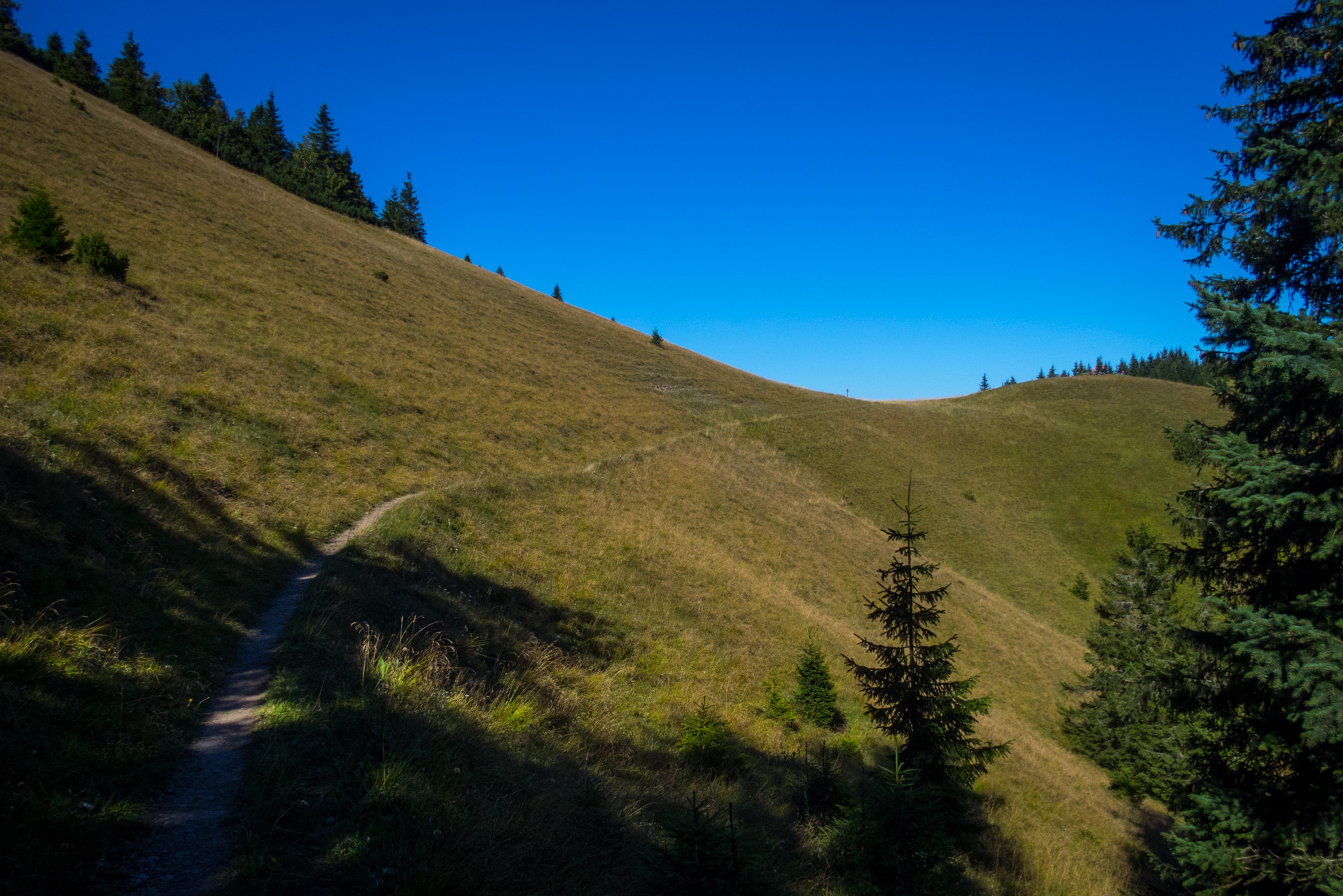 Zo Suchého vrchu cez Ploskú na voj. zotavovňu Smrekovica (Veľká Fatra)