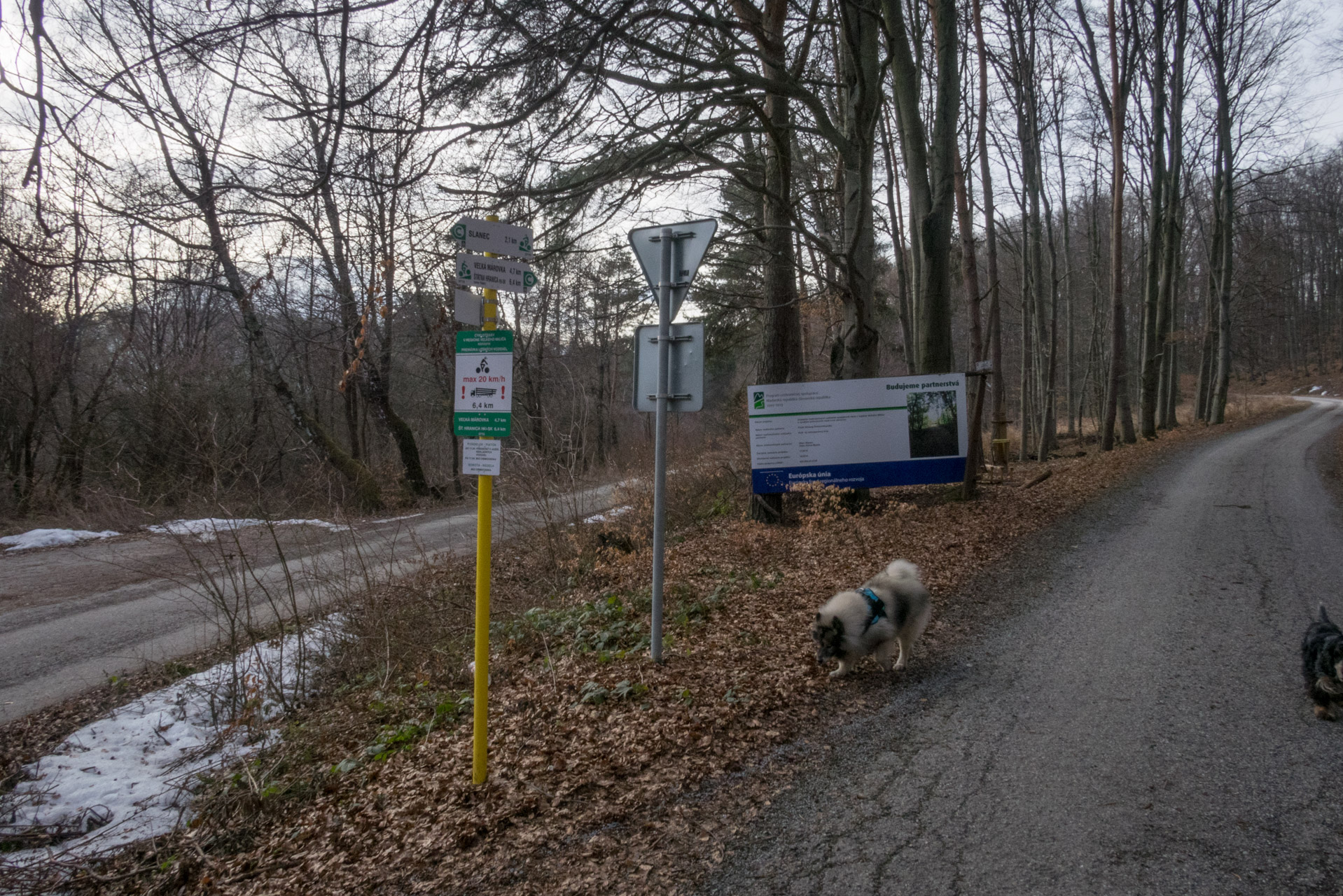 Bradlo a Dobrák zo Slanského sedla (Slanské vrchy)