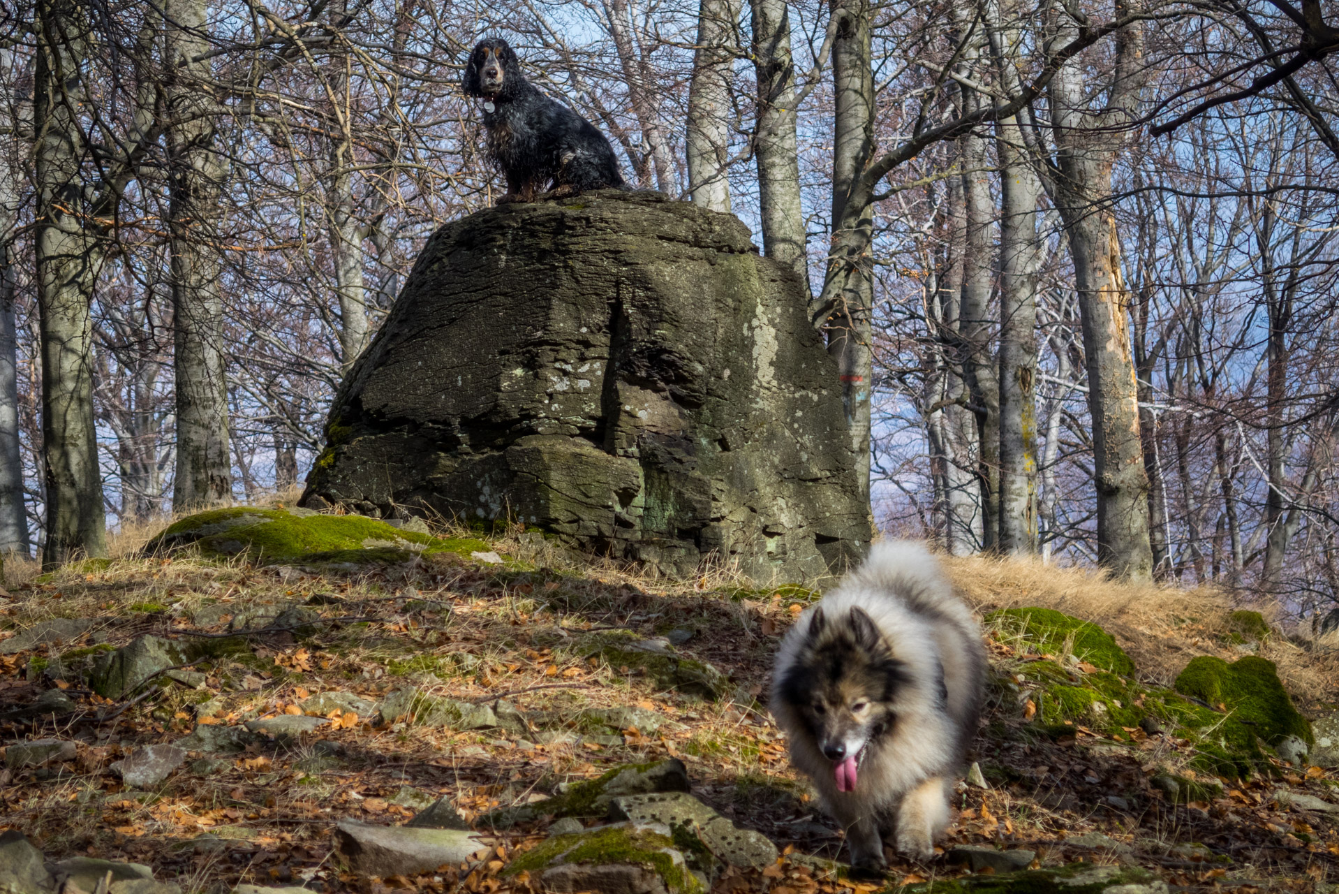 Bradlo a Dobrák zo Slanského sedla (Slanské vrchy)