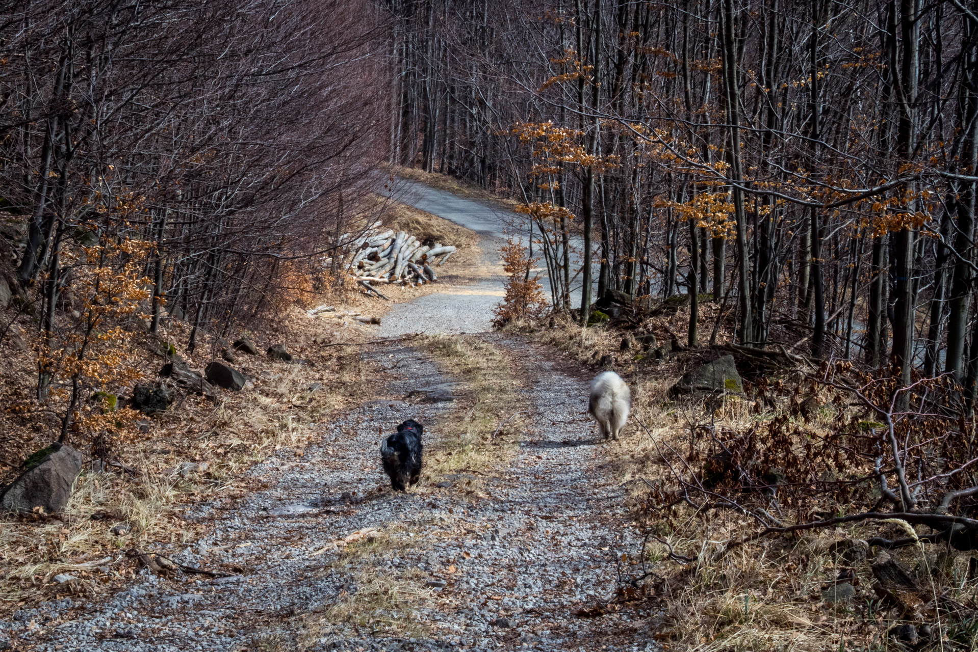 Bradlo a Dobrák zo Slanského sedla (Slanské vrchy)