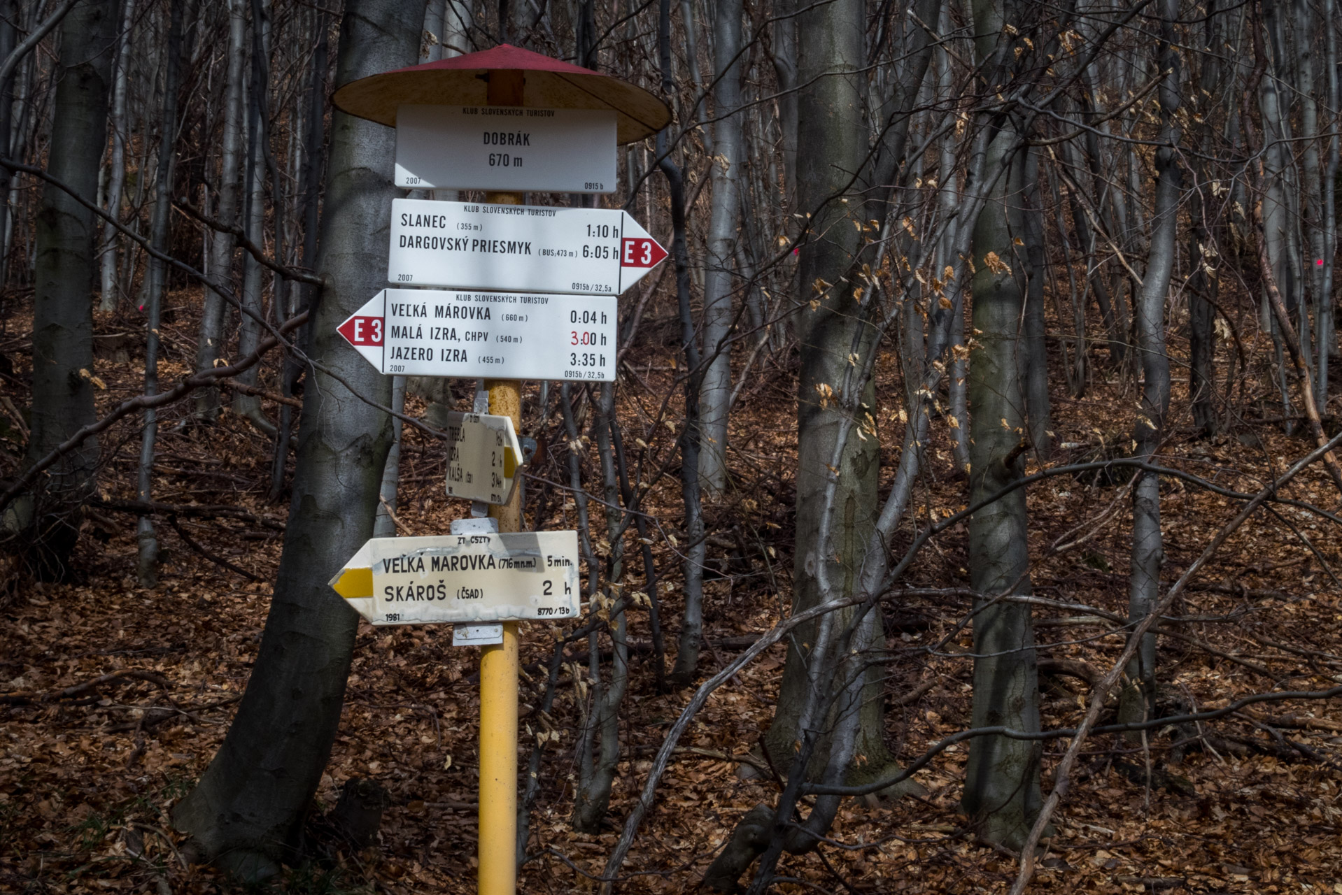 Bradlo a Dobrák zo Slanského sedla (Slanské vrchy)