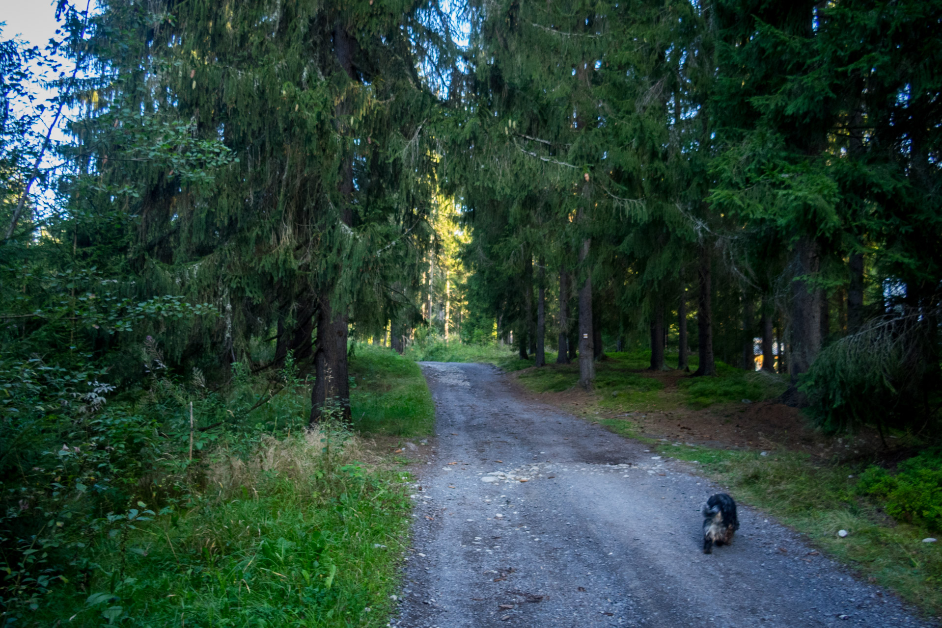 Bystrá z Hrdova (Západné Tatry)