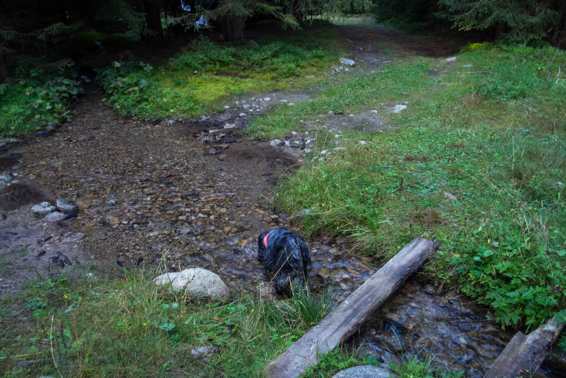 Bystrá z Hrdova (Západné Tatry)