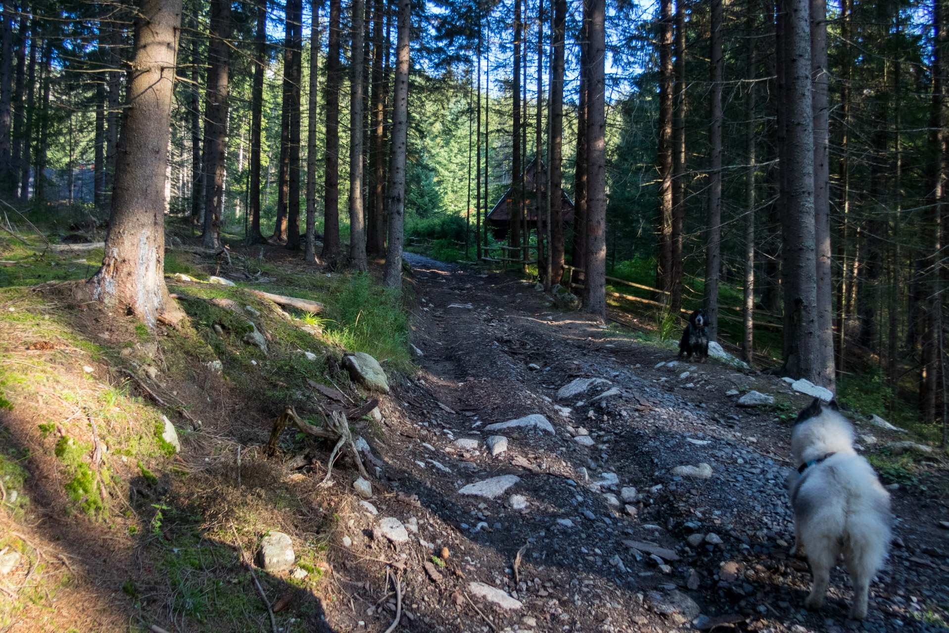 Bystrá z Hrdova (Západné Tatry)