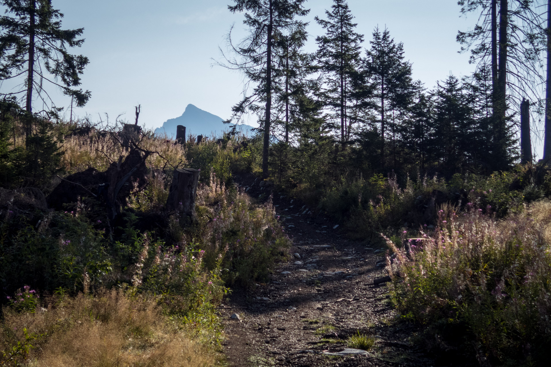 Bystrá z Hrdova (Západné Tatry)