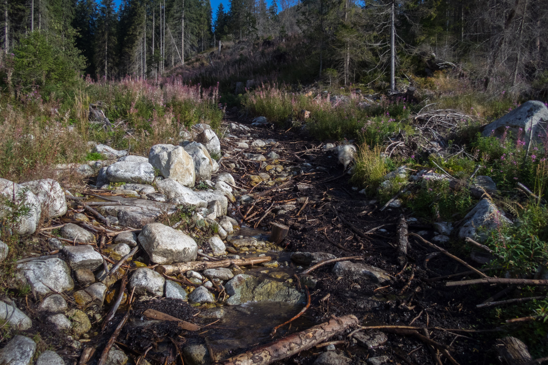 Bystrá z Hrdova (Západné Tatry)