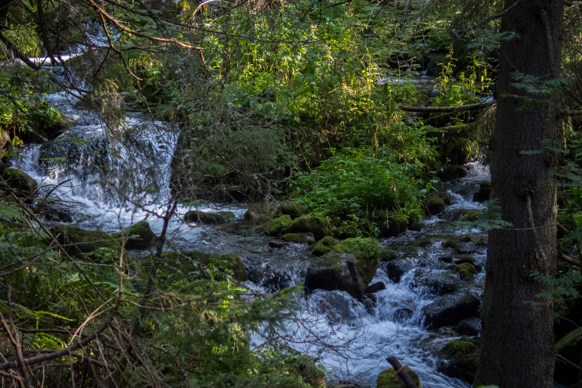 Bystrá z Hrdova (Západné Tatry)