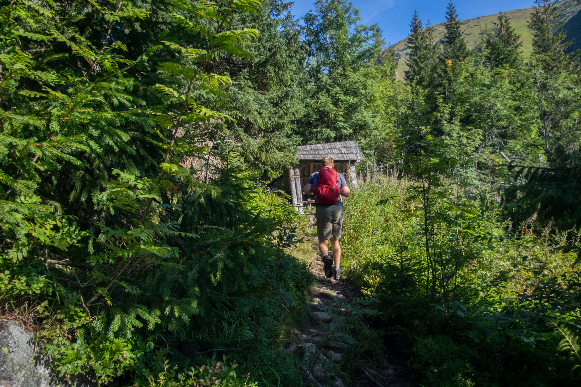 Bystrá z Hrdova (Západné Tatry)