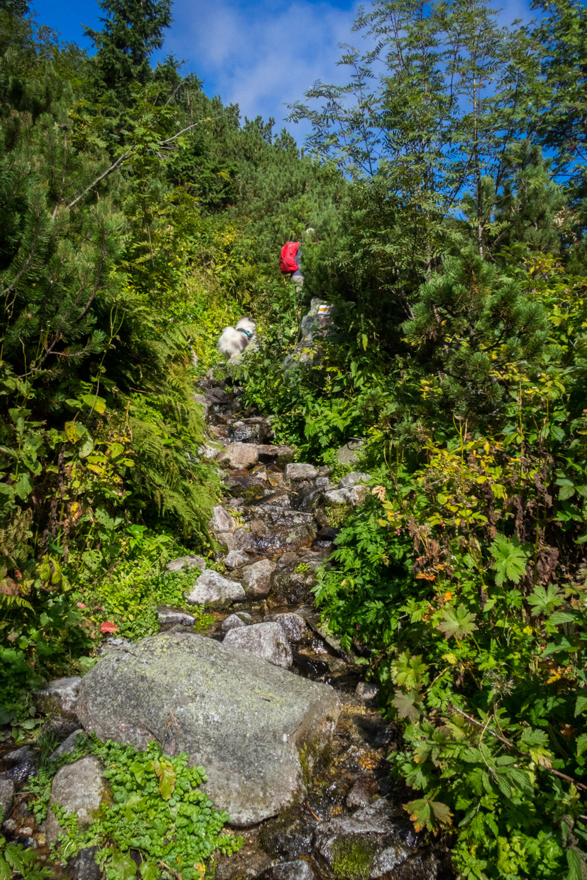 Bystrá z Hrdova (Západné Tatry)