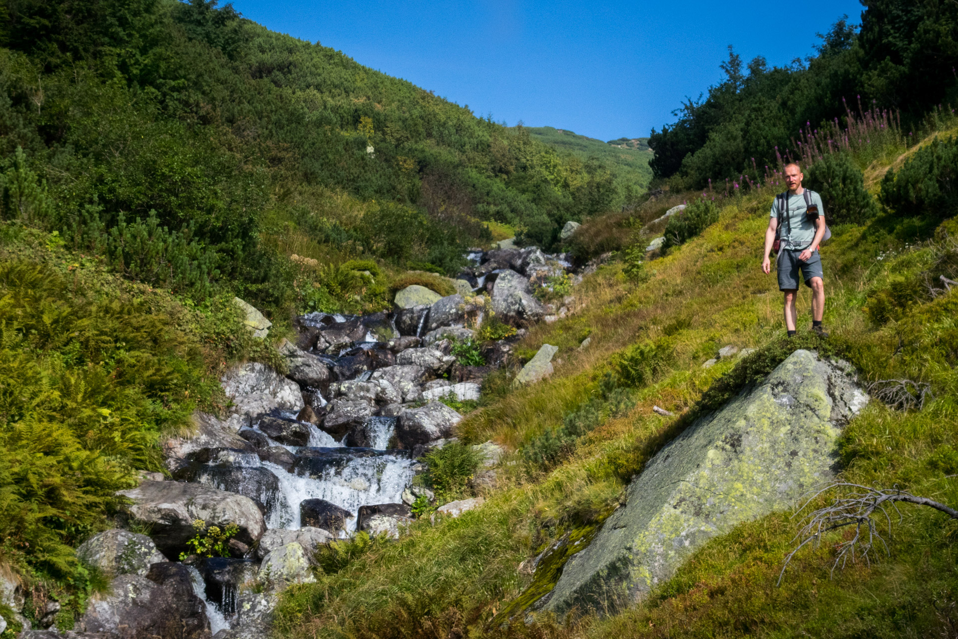 Bystrá z Hrdova (Západné Tatry)