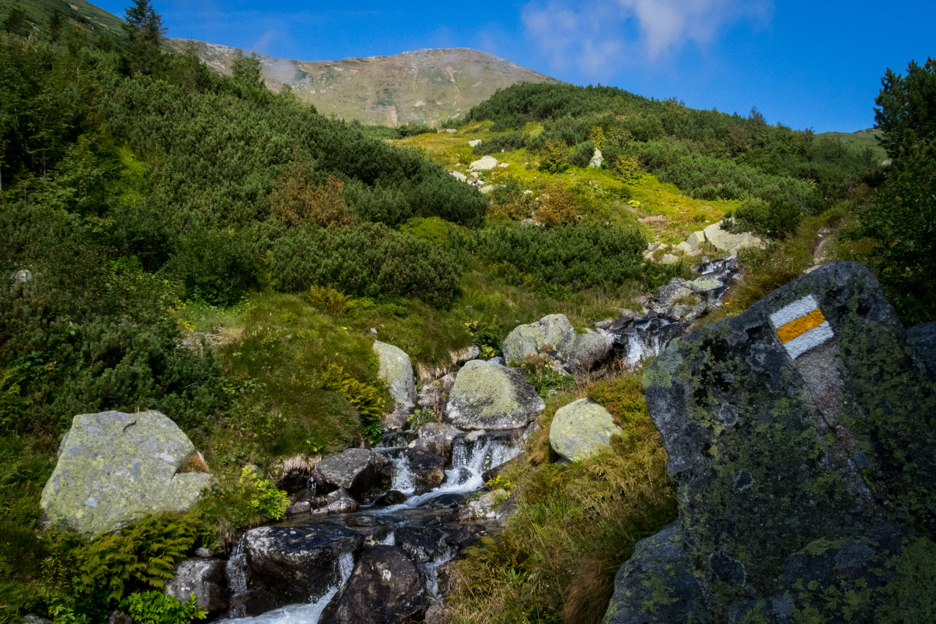 Bystrá z Hrdova (Západné Tatry)