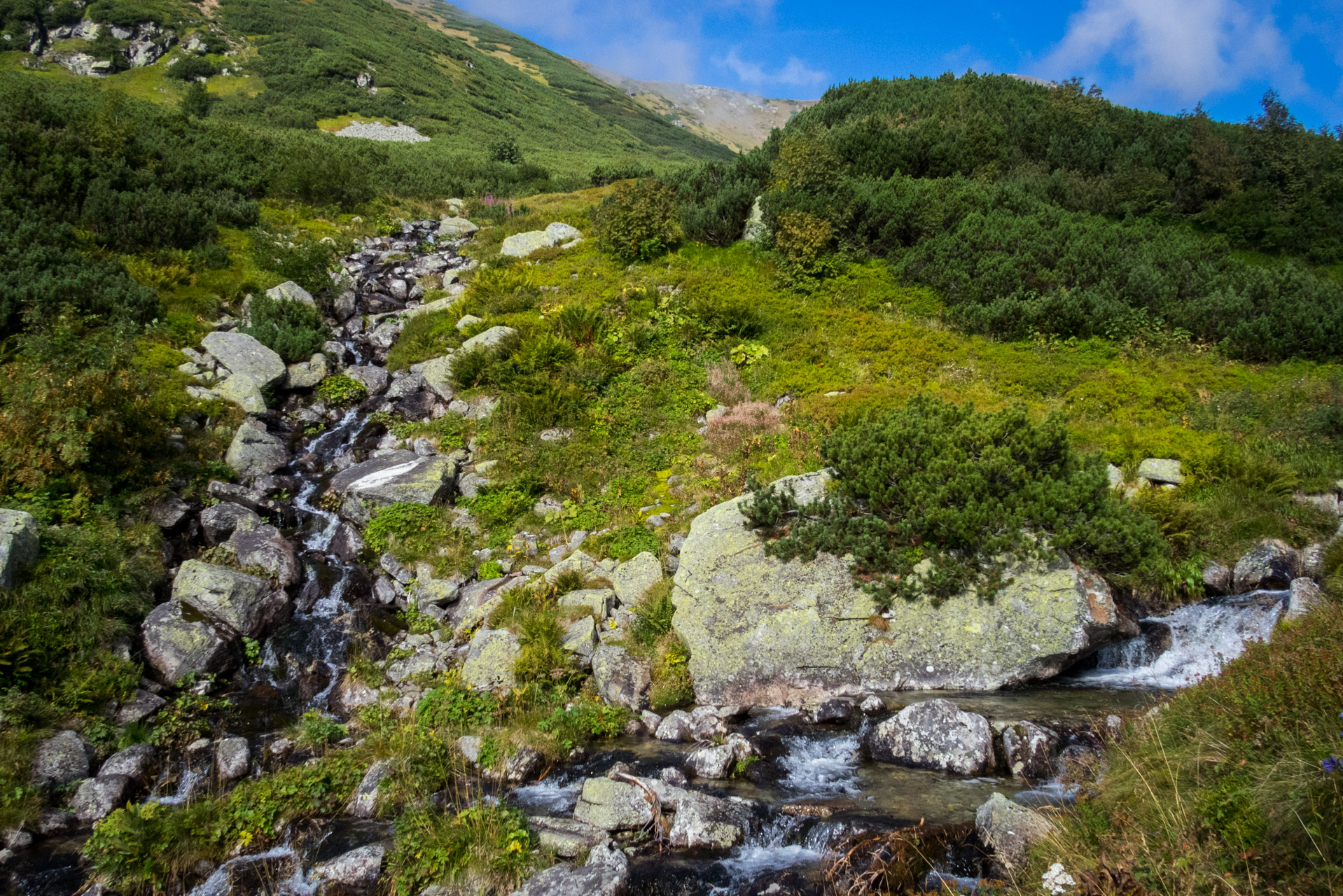 Bystrá z Hrdova (Západné Tatry)