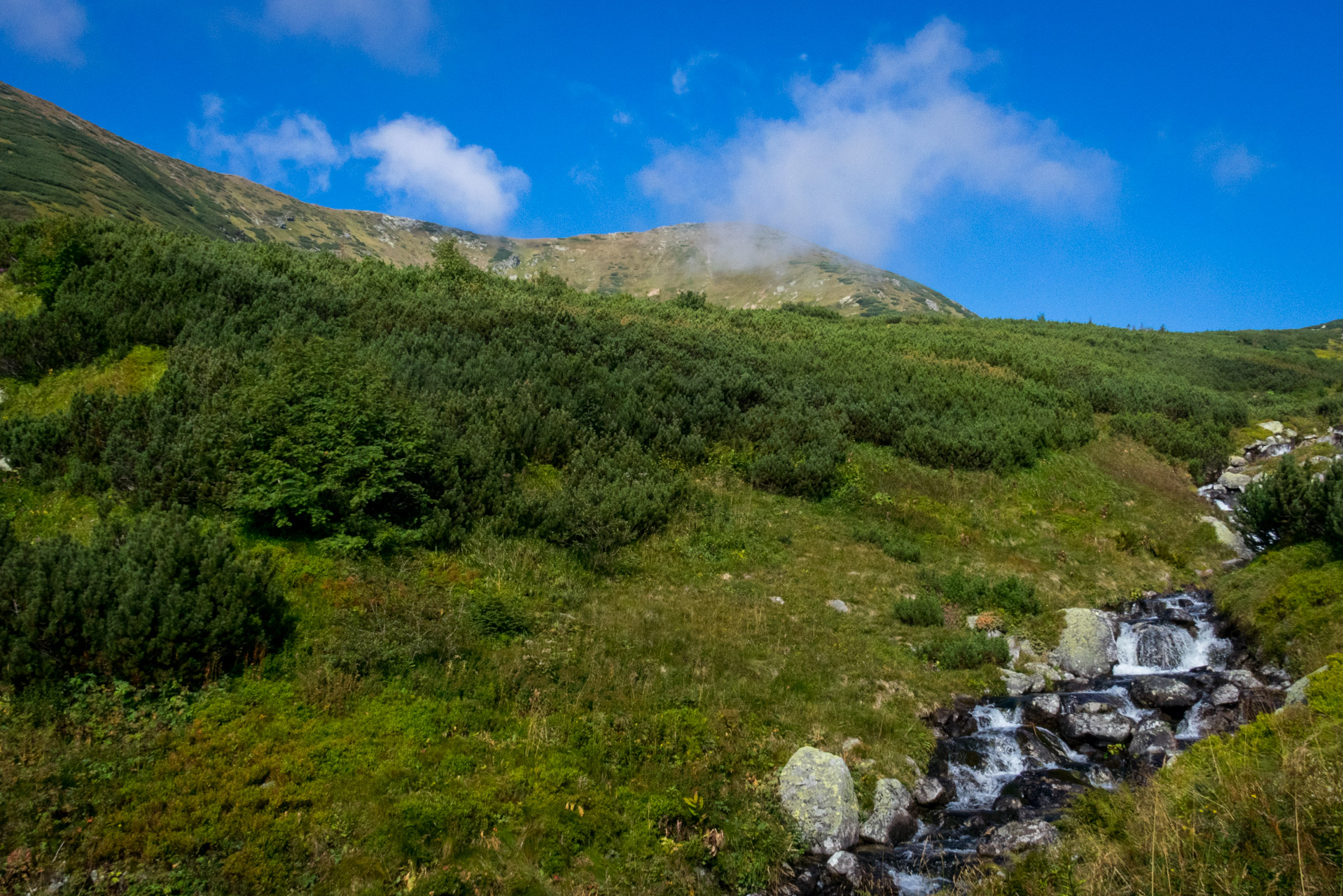 Bystrá z Hrdova (Západné Tatry)