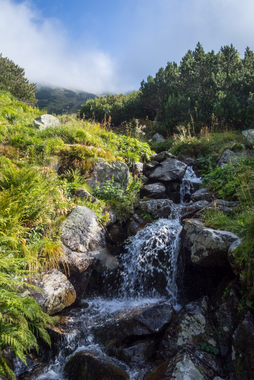 Bystrá z Hrdova (Západné Tatry)