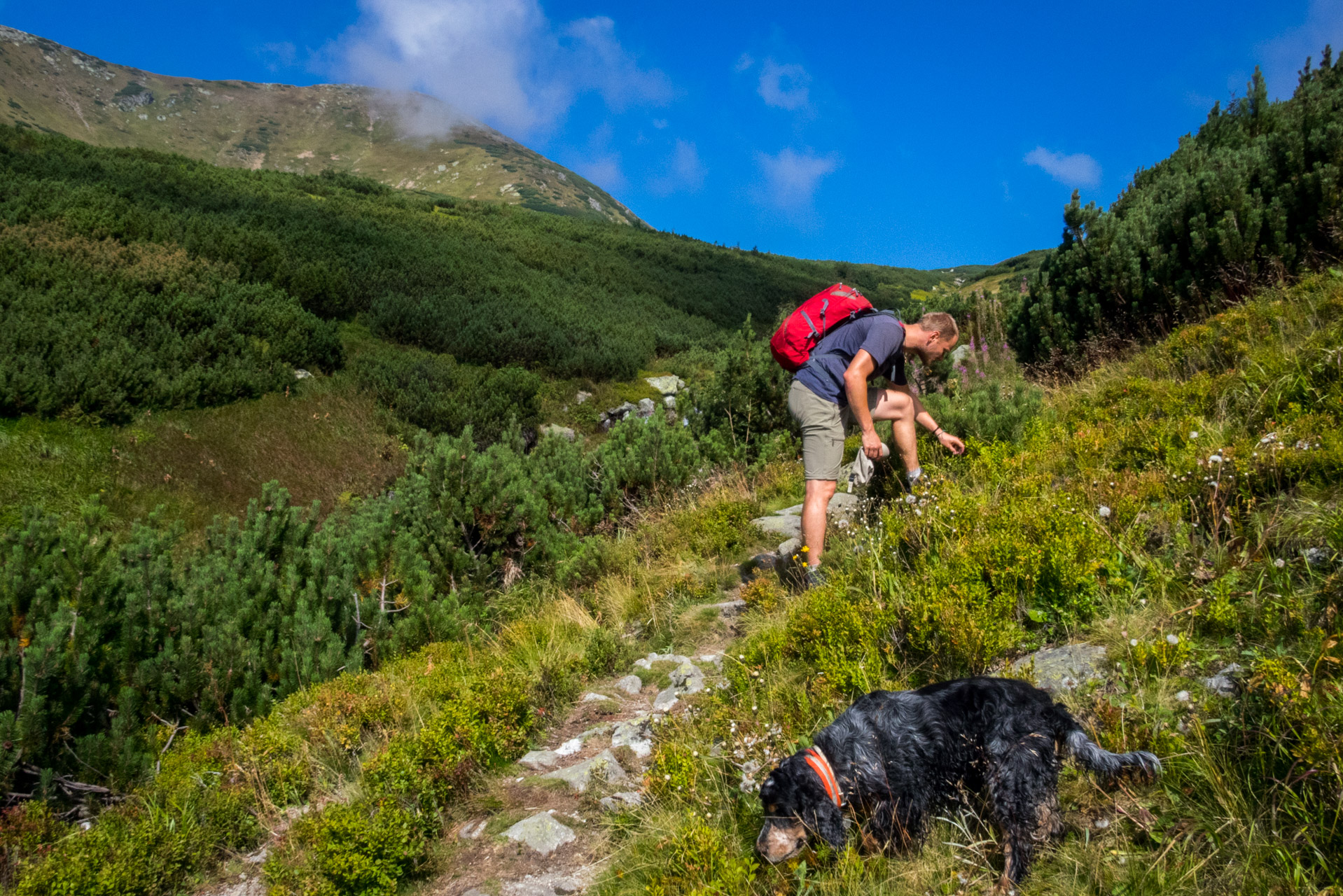 Bystrá z Hrdova (Západné Tatry)