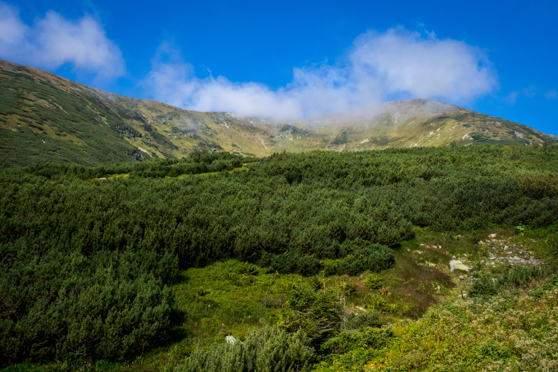 Bystrá z Hrdova (Západné Tatry)