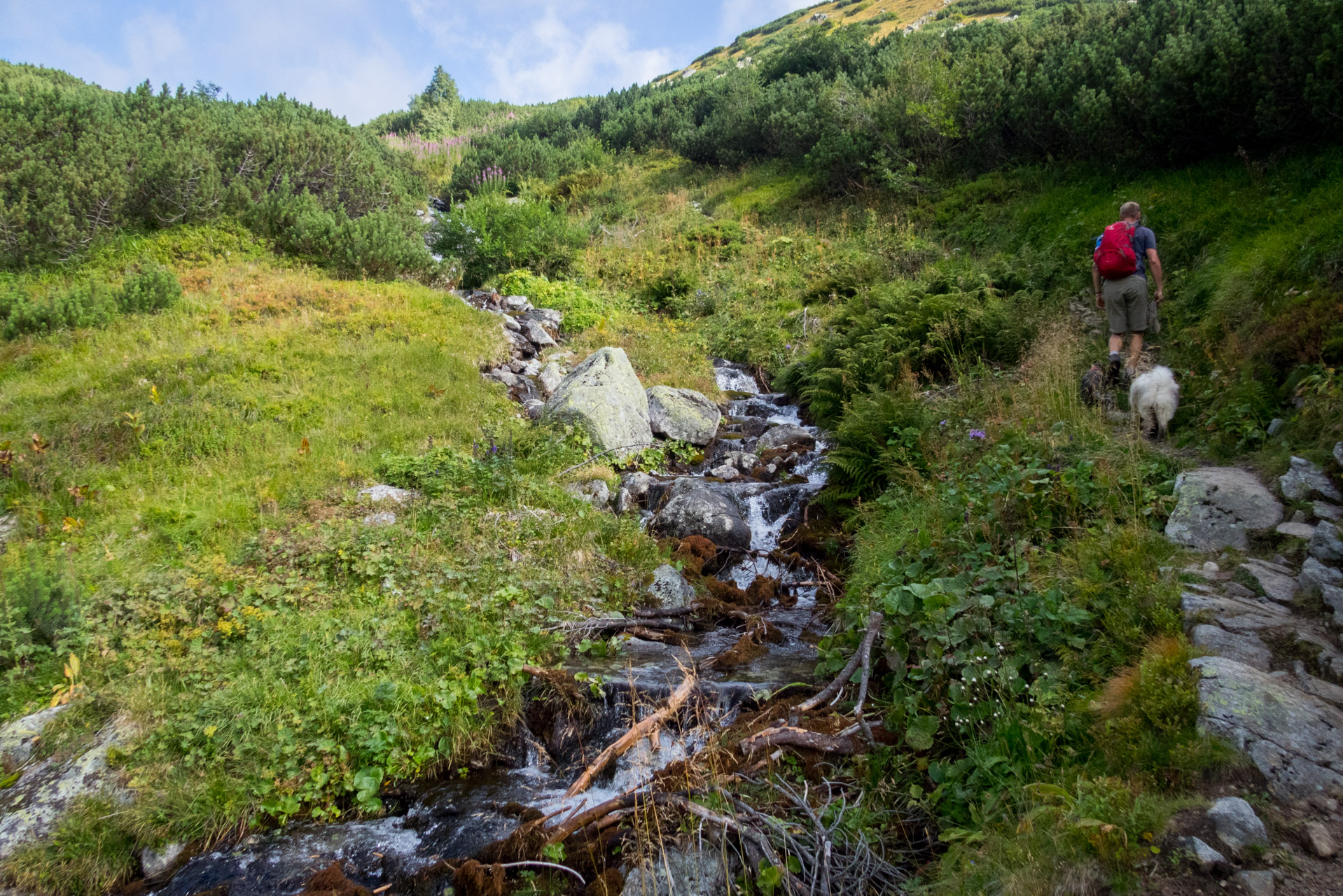 Bystrá z Hrdova (Západné Tatry)