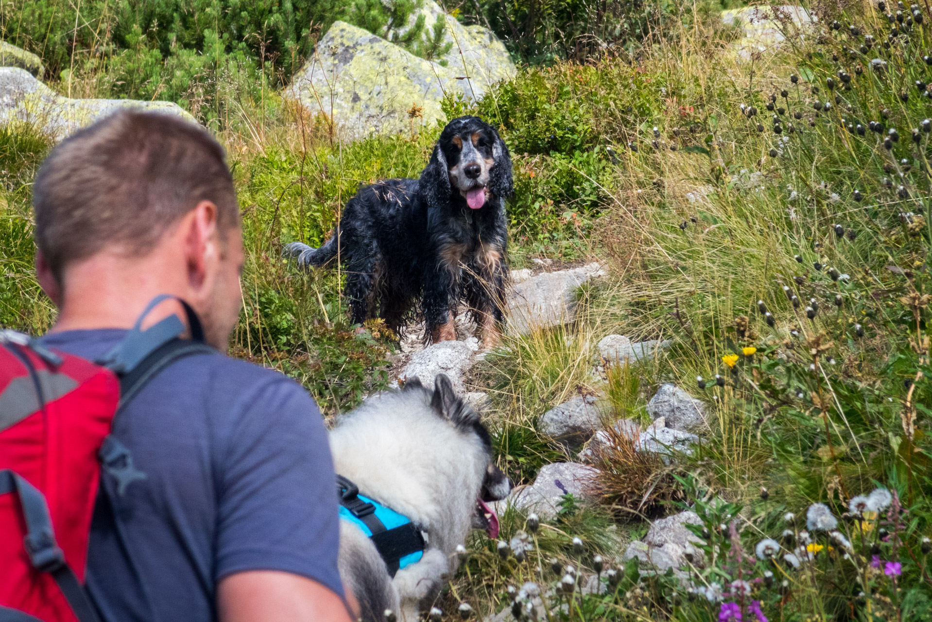 Bystrá z Hrdova (Západné Tatry)