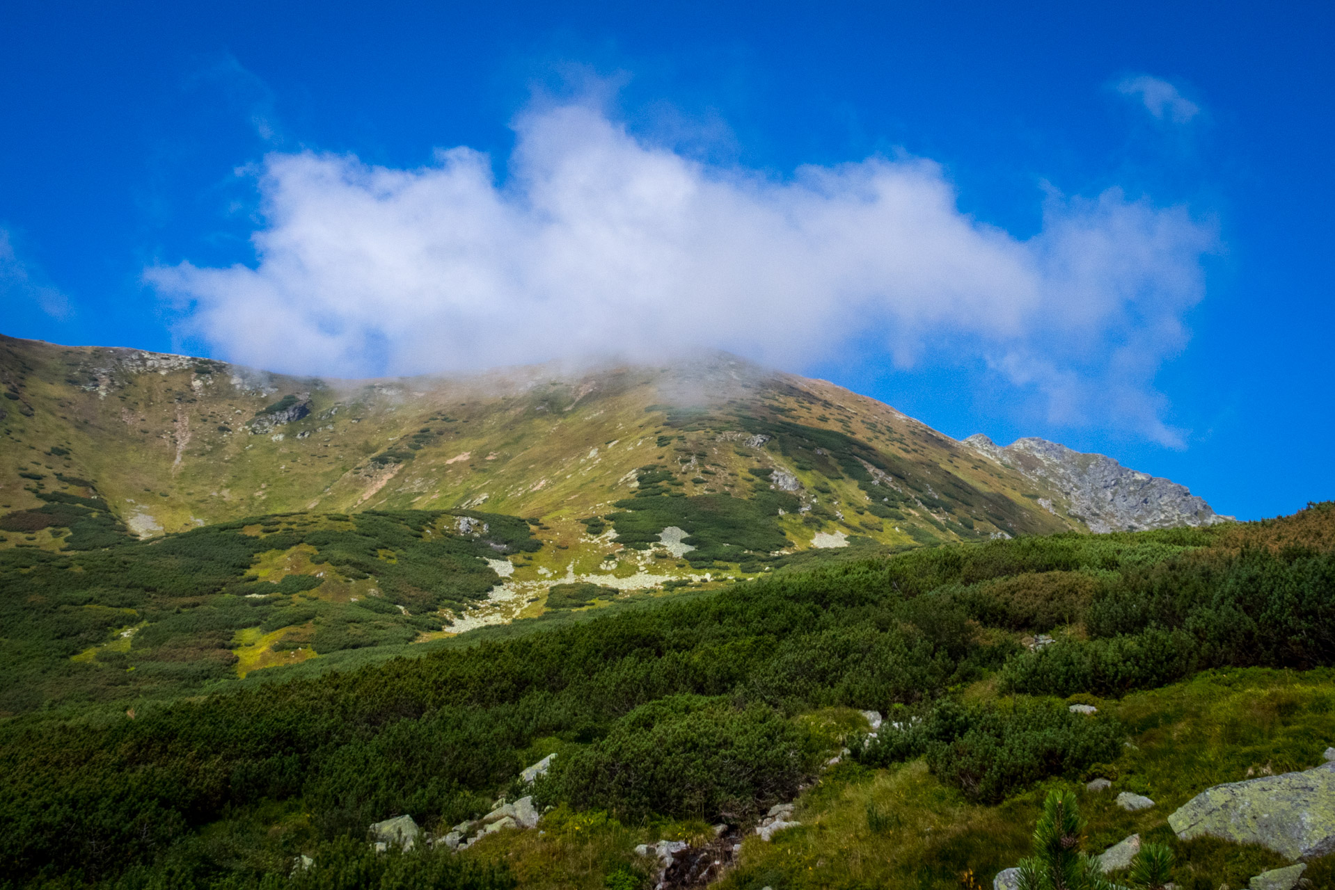 Bystrá z Hrdova (Západné Tatry)