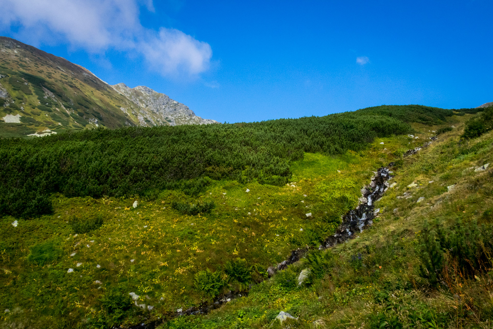 Bystrá z Hrdova (Západné Tatry)