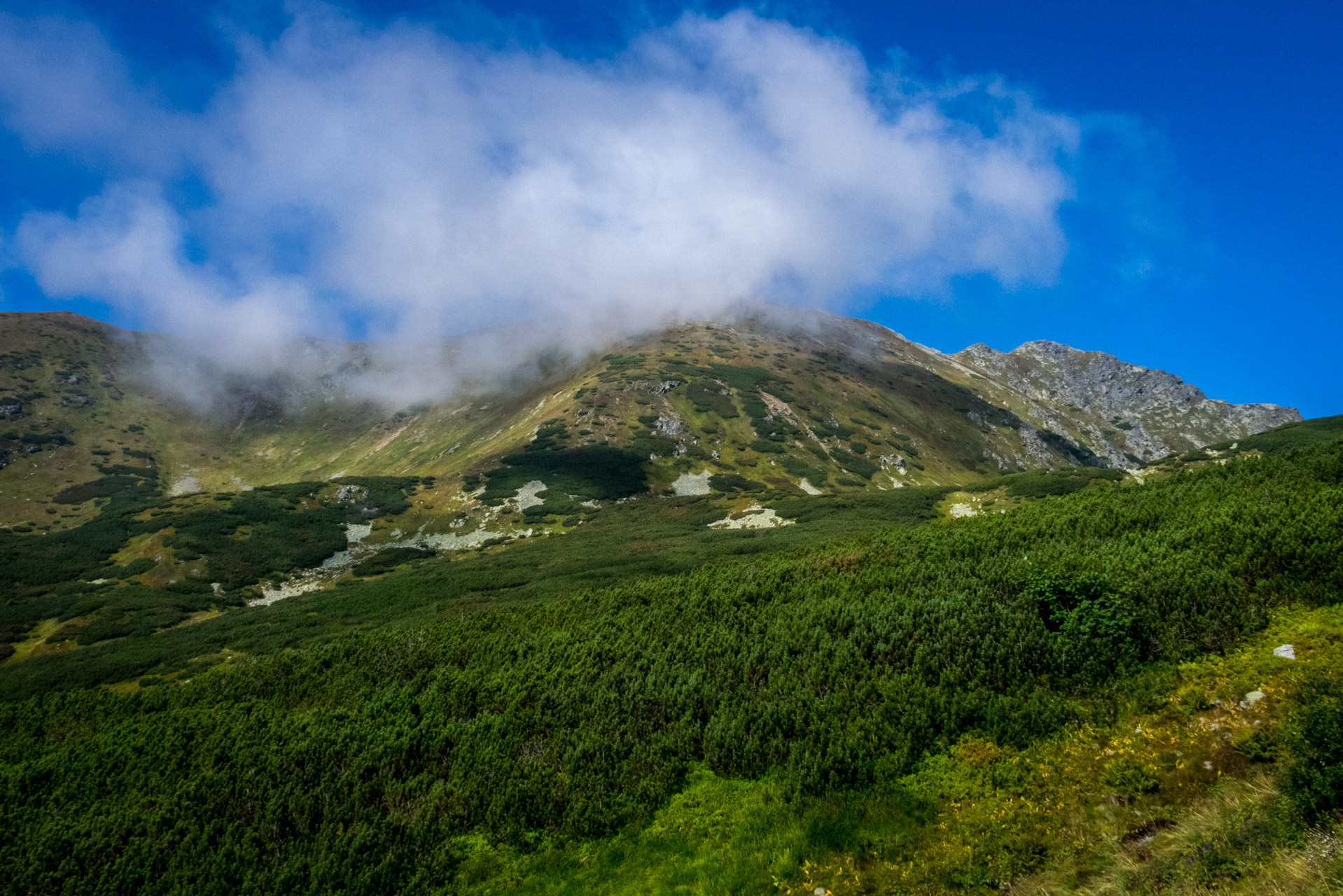 Bystrá z Hrdova (Západné Tatry)