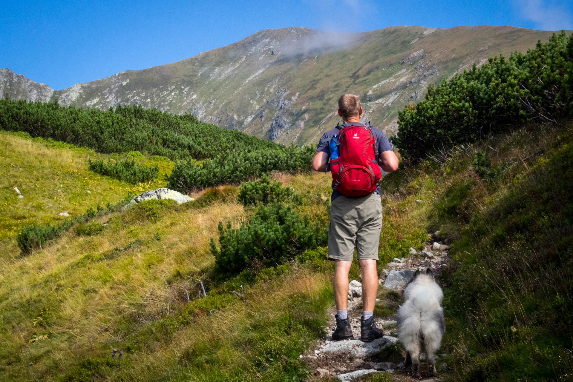 Bystrá z Hrdova (Západné Tatry)