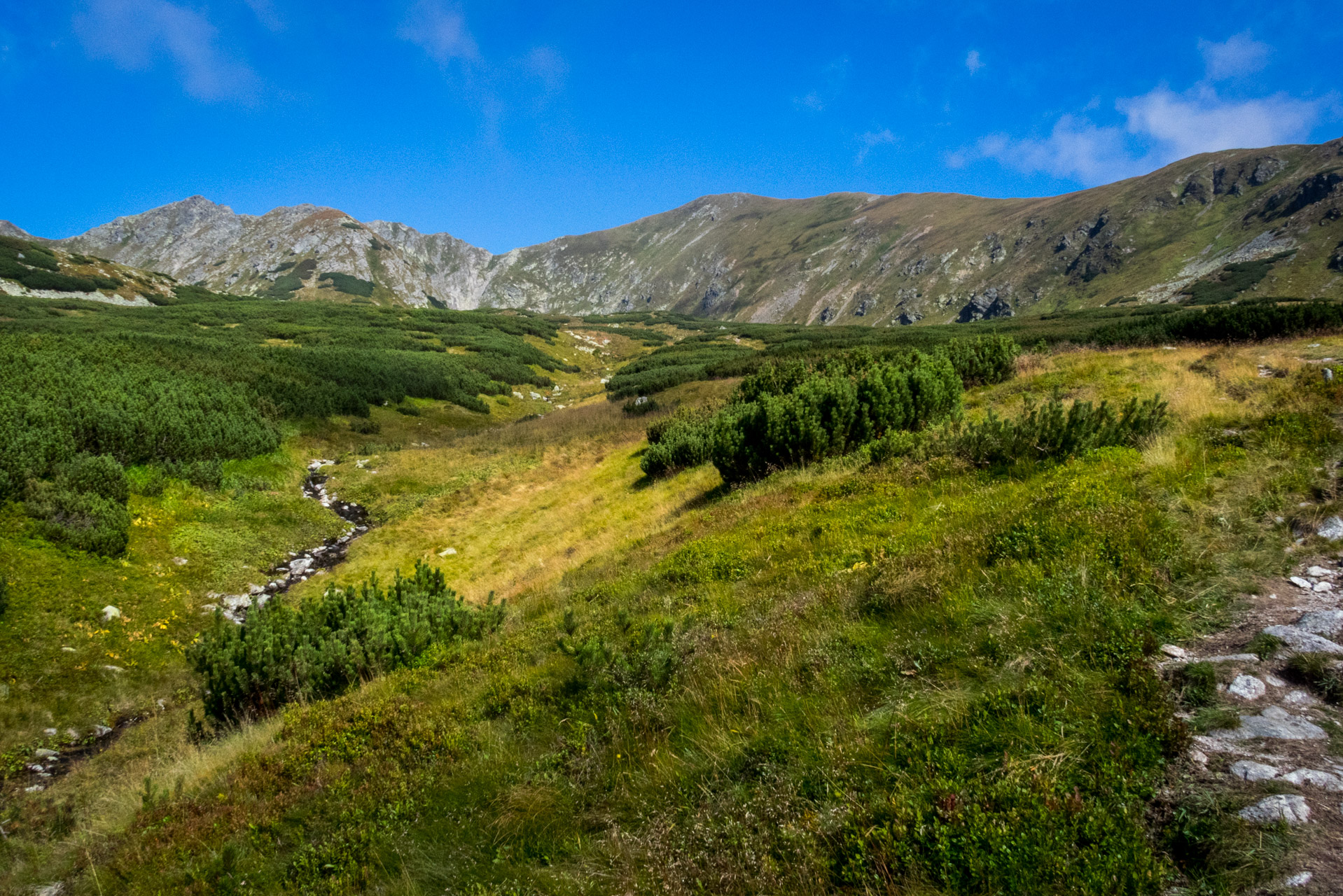 Bystrá z Hrdova (Západné Tatry)