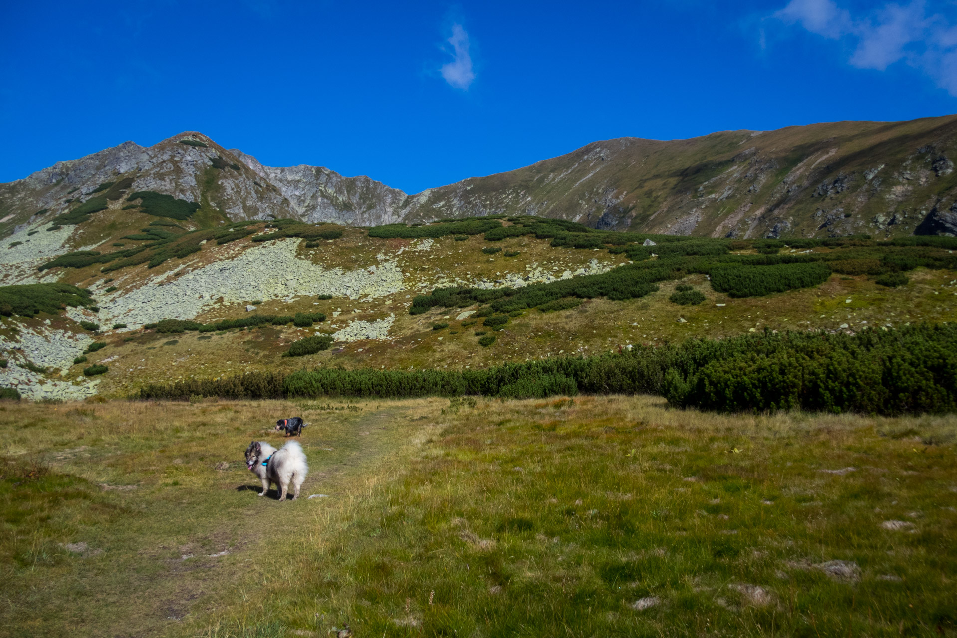 Bystrá z Hrdova (Západné Tatry)