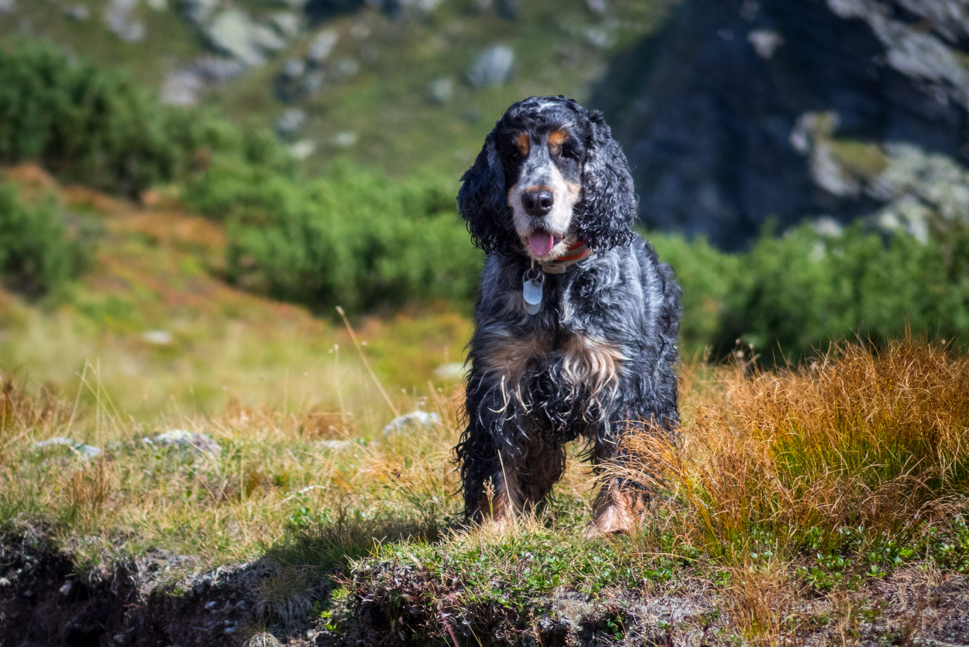 Bystrá z Hrdova (Západné Tatry)