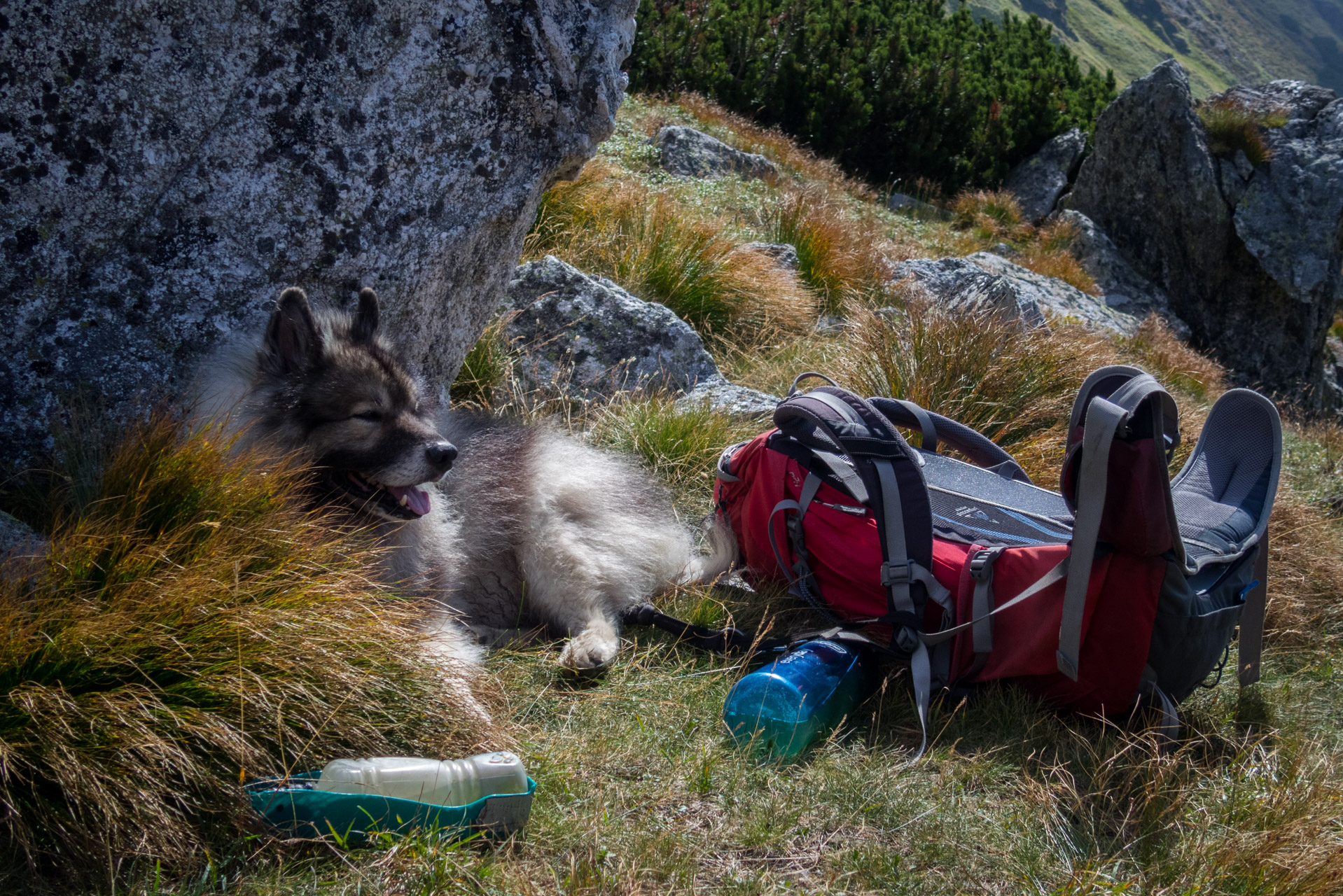 Bystrá z Hrdova (Západné Tatry)