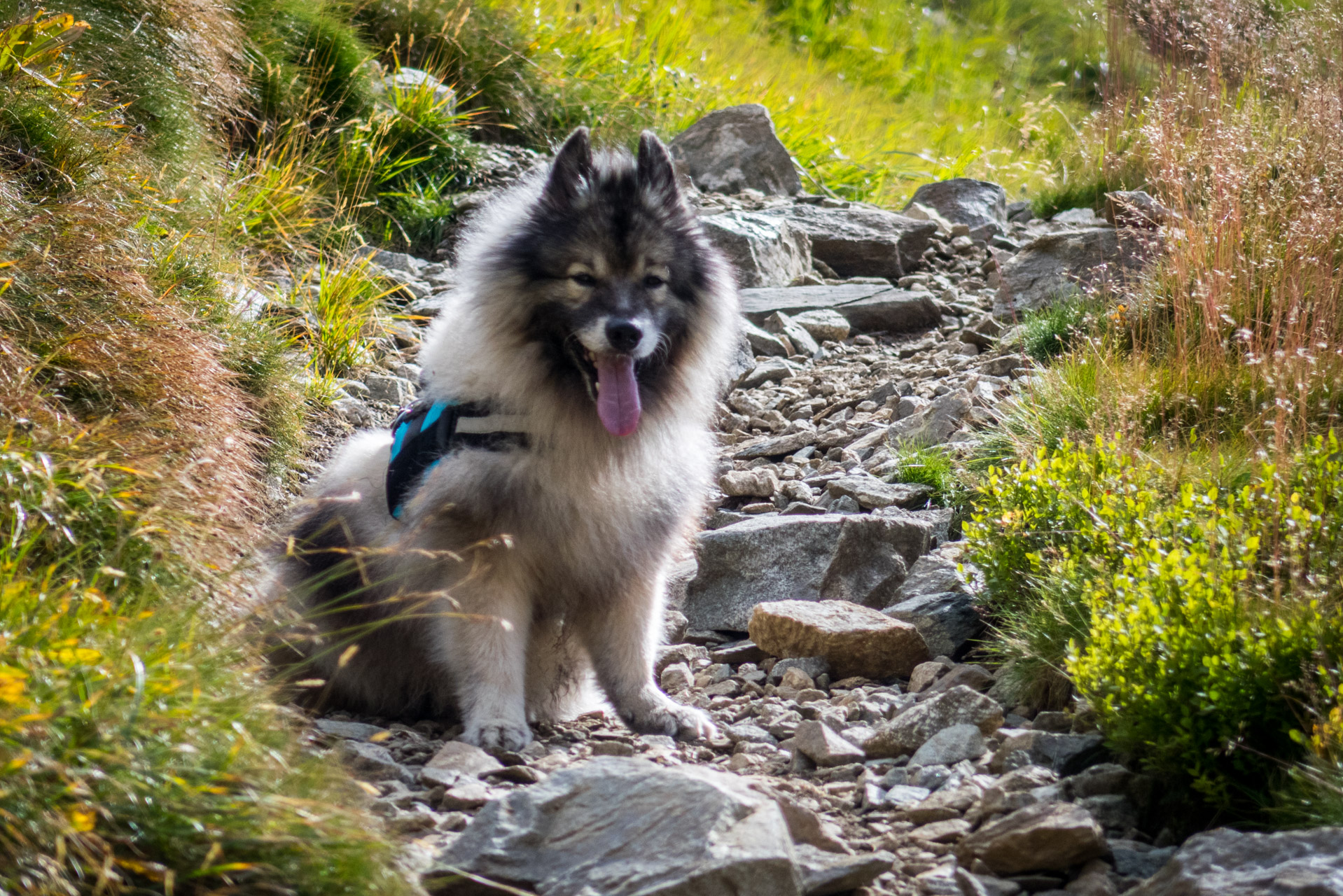 Bystrá z Hrdova (Západné Tatry)