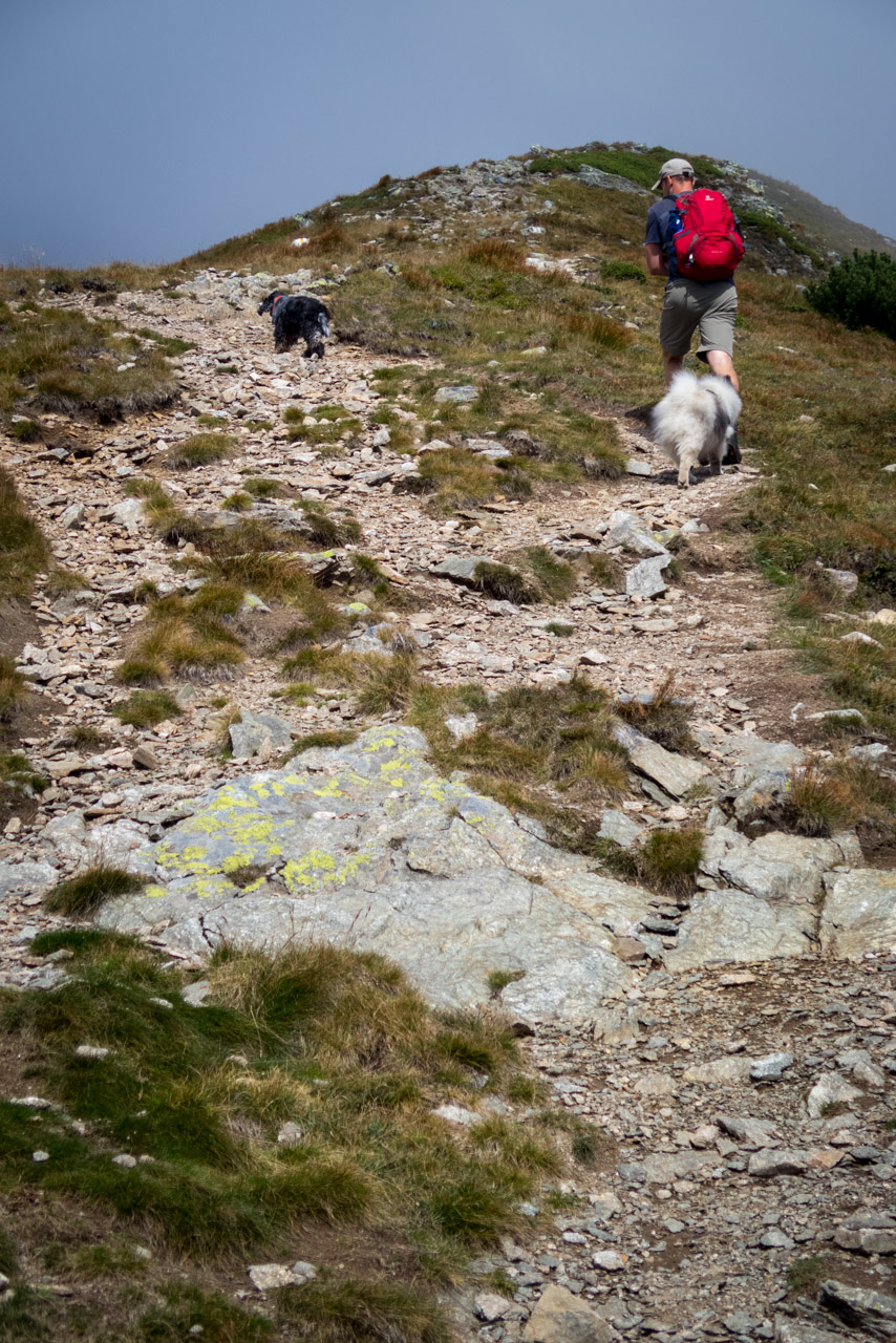 Bystrá z Hrdova (Západné Tatry)