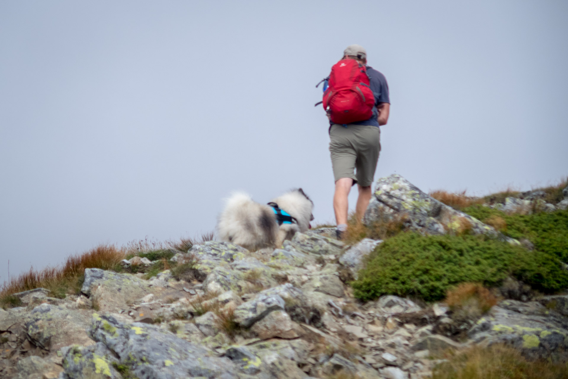 Bystrá z Hrdova (Západné Tatry)