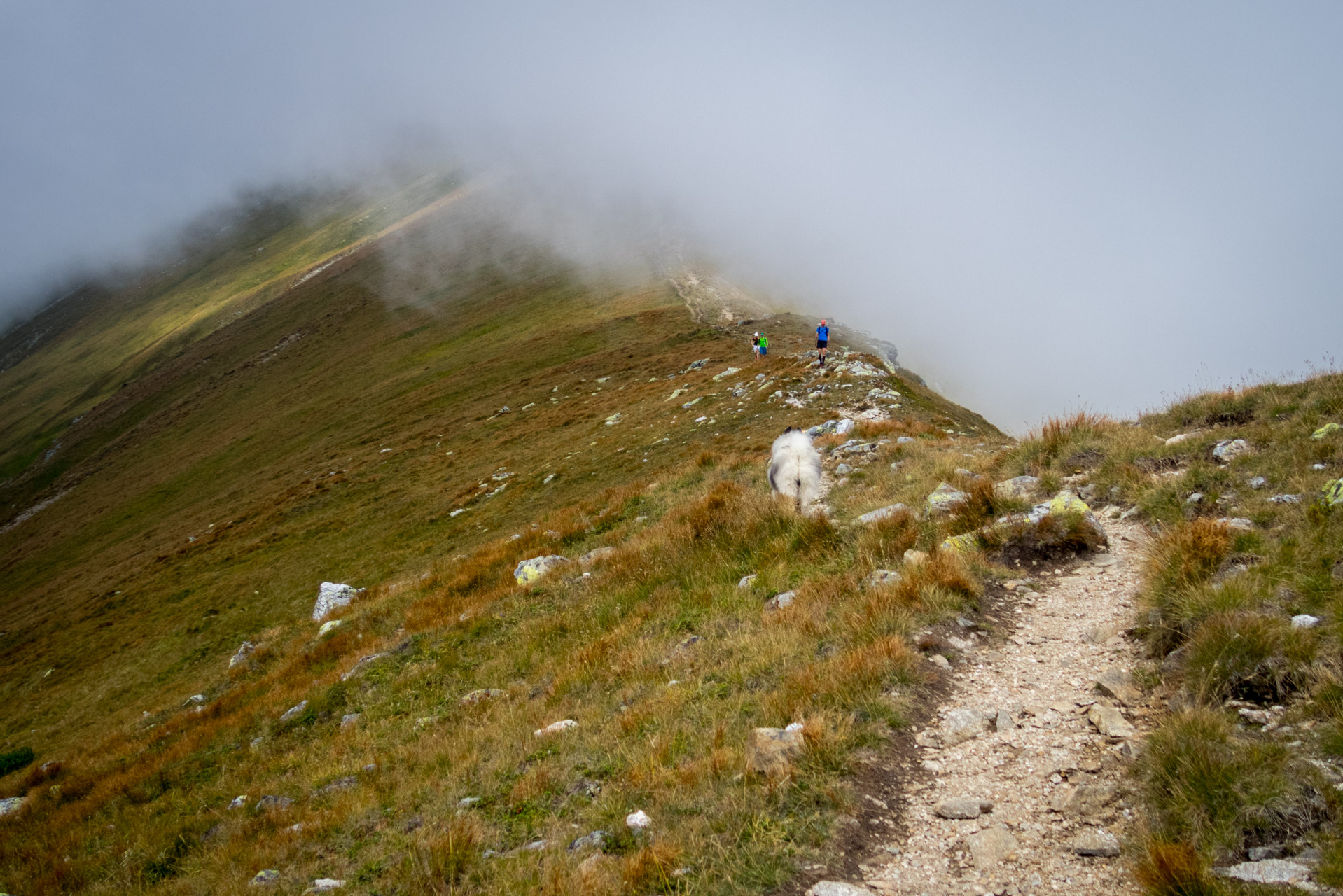 Bystrá z Hrdova (Západné Tatry)