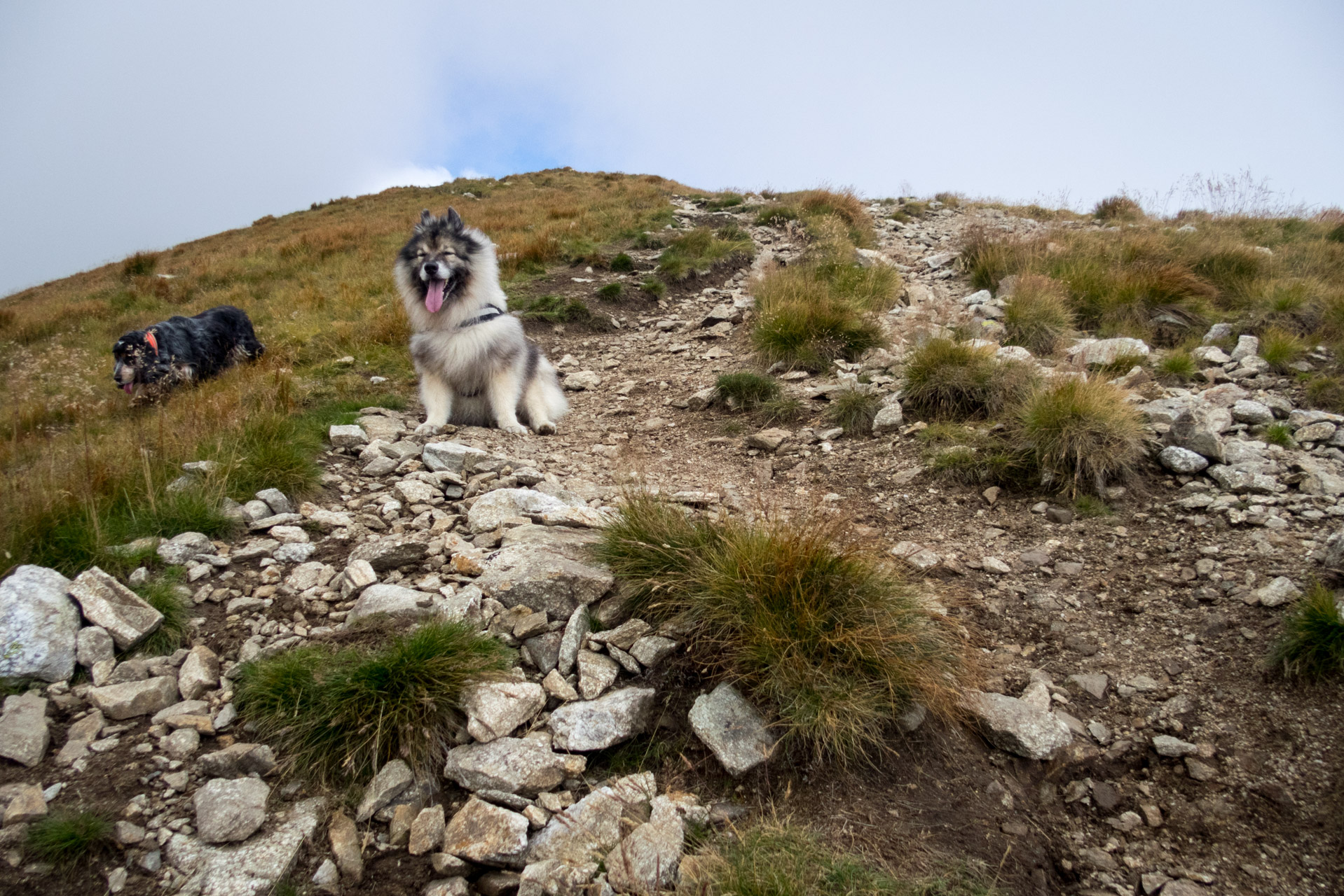 Bystrá z Hrdova (Západné Tatry)