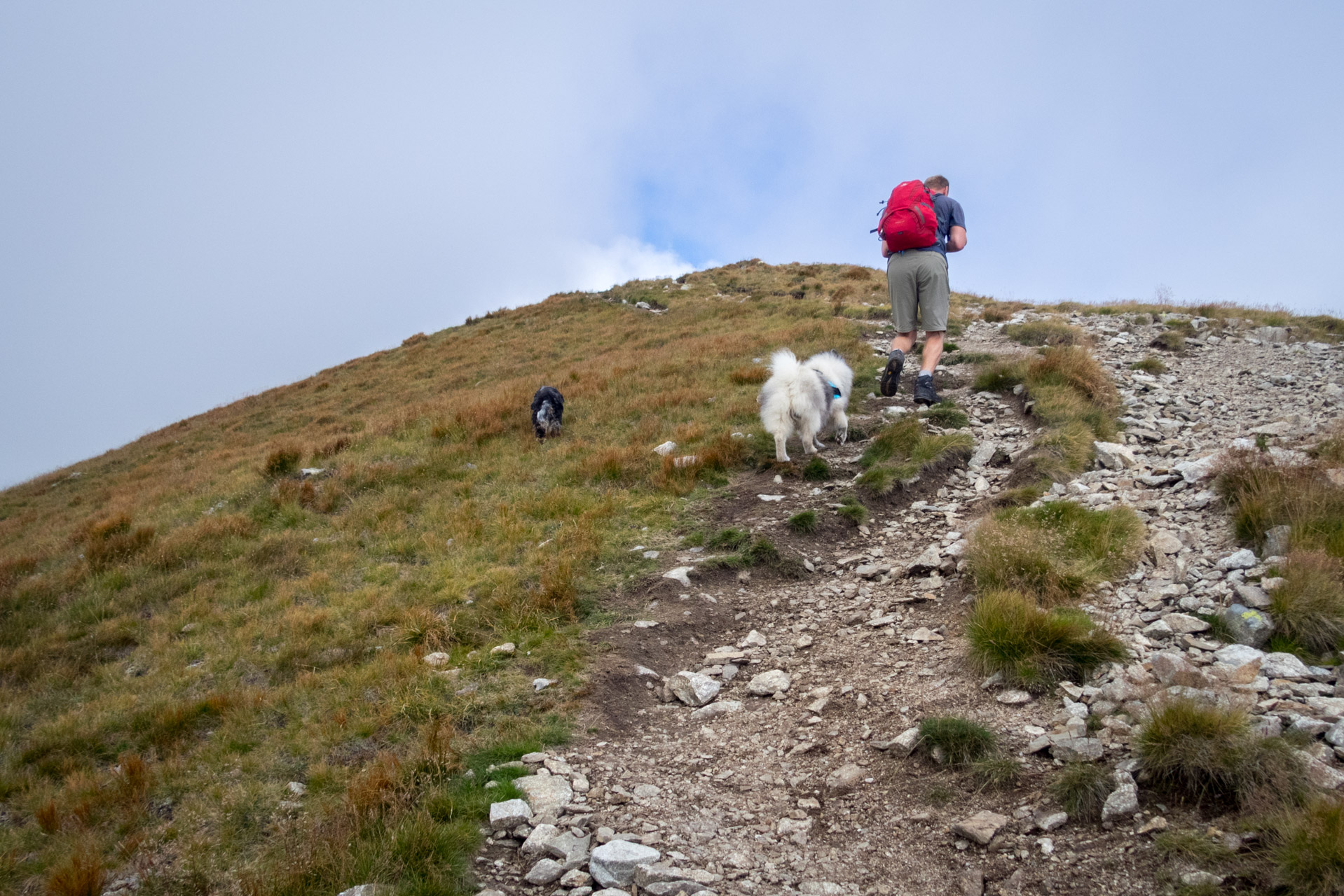 Bystrá z Hrdova (Západné Tatry)