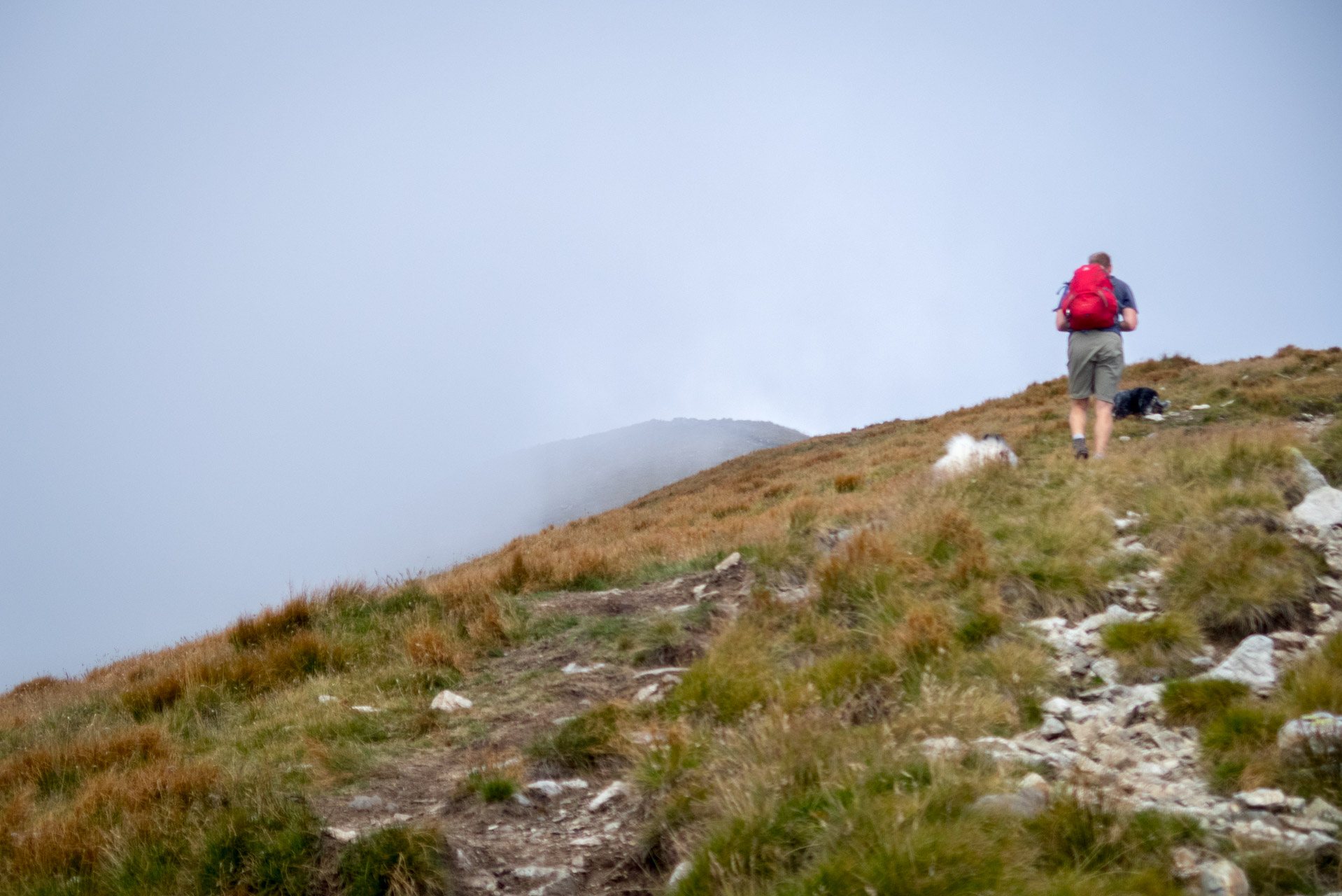 Bystrá z Hrdova (Západné Tatry)