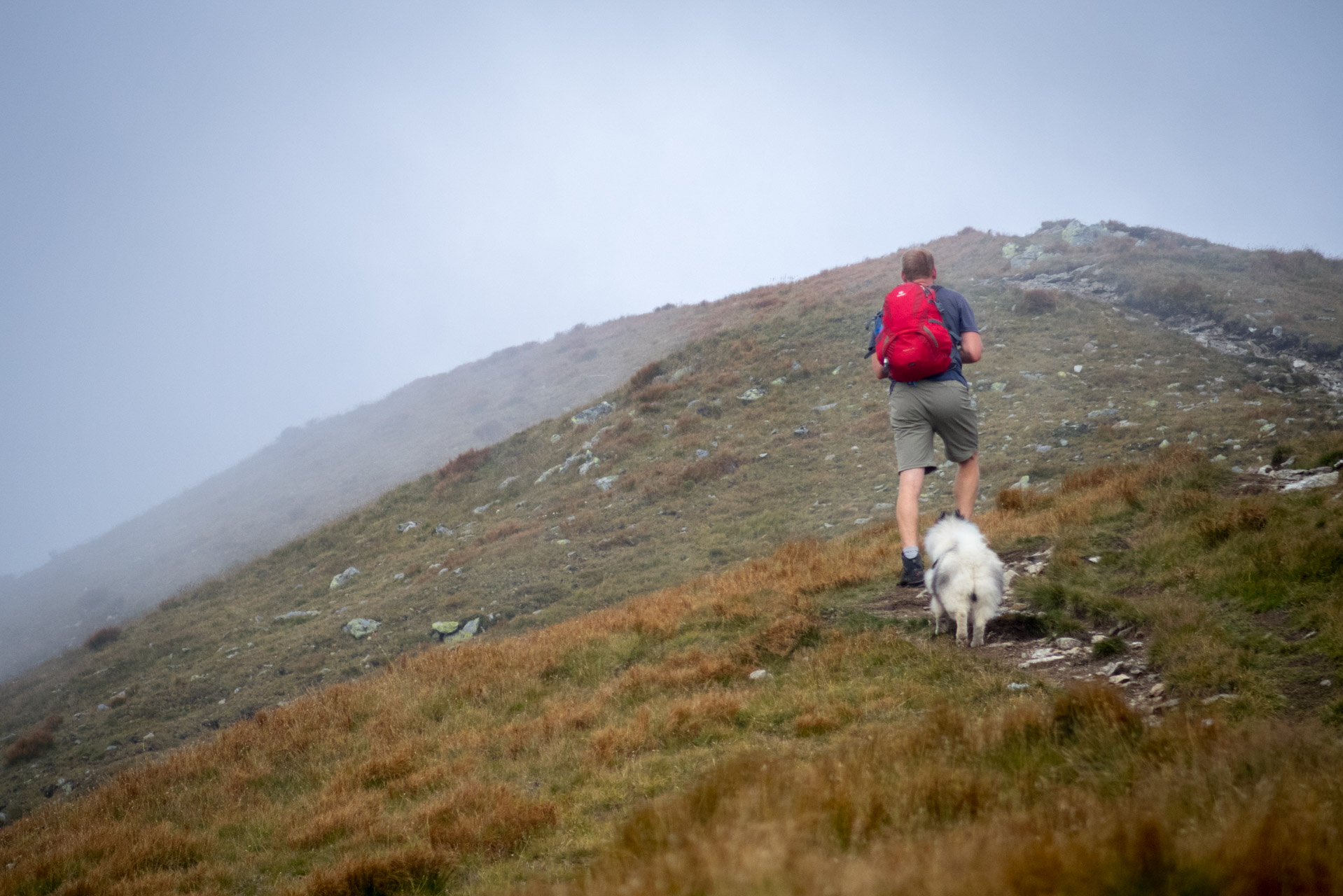 Bystrá z Hrdova (Západné Tatry)