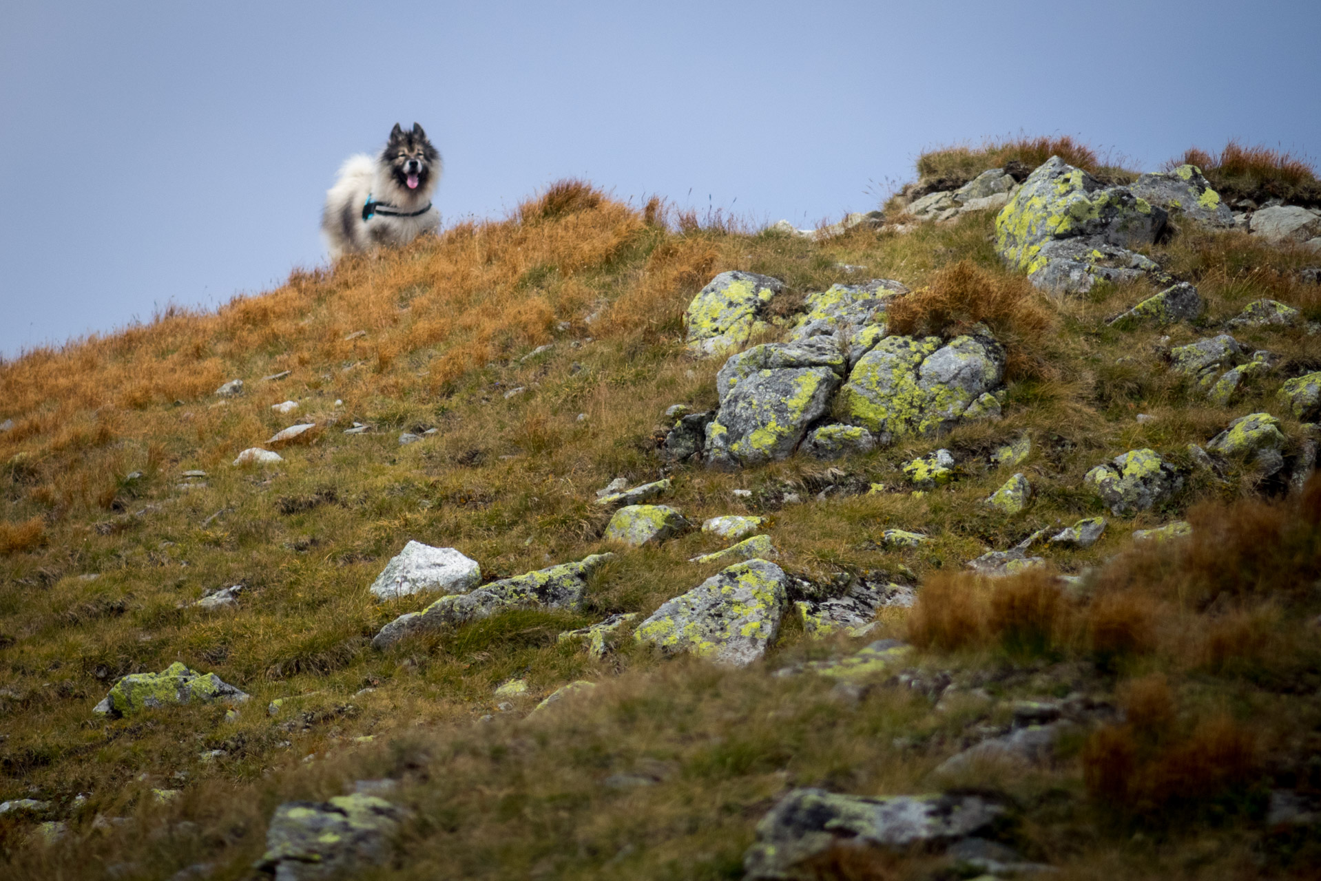 Bystrá z Hrdova (Západné Tatry)