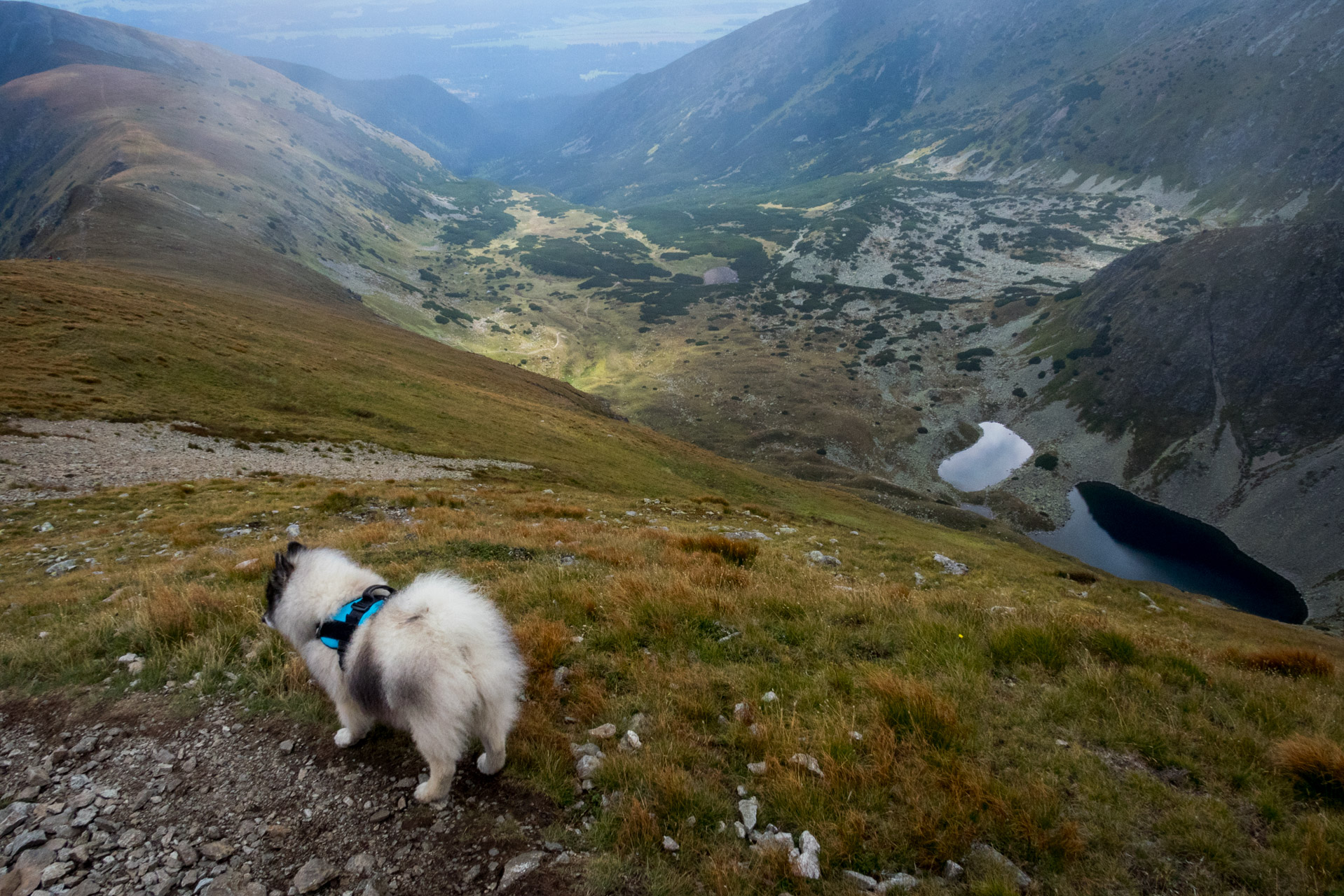 Bystrá z Hrdova (Západné Tatry)