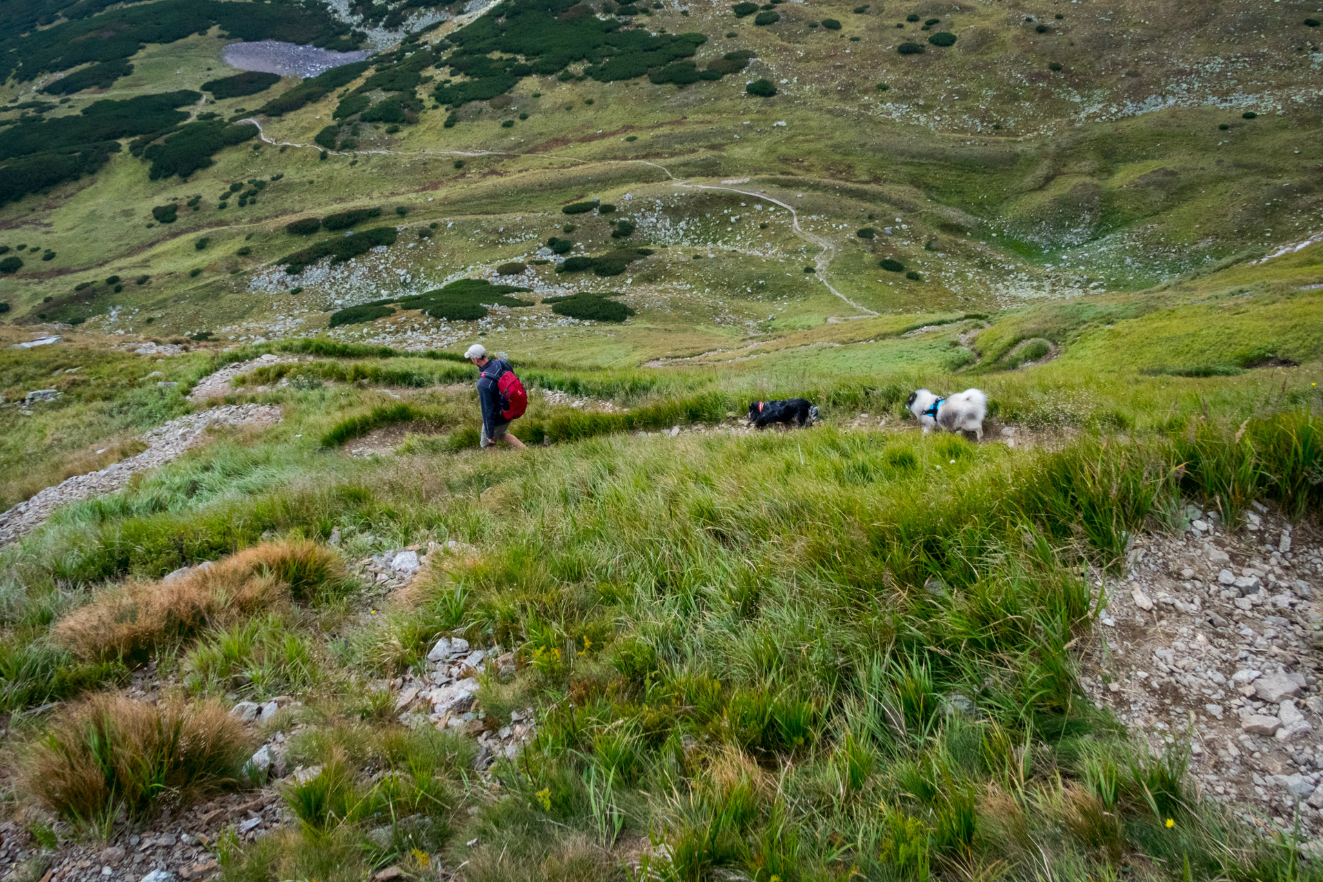 Bystrá z Hrdova (Západné Tatry)