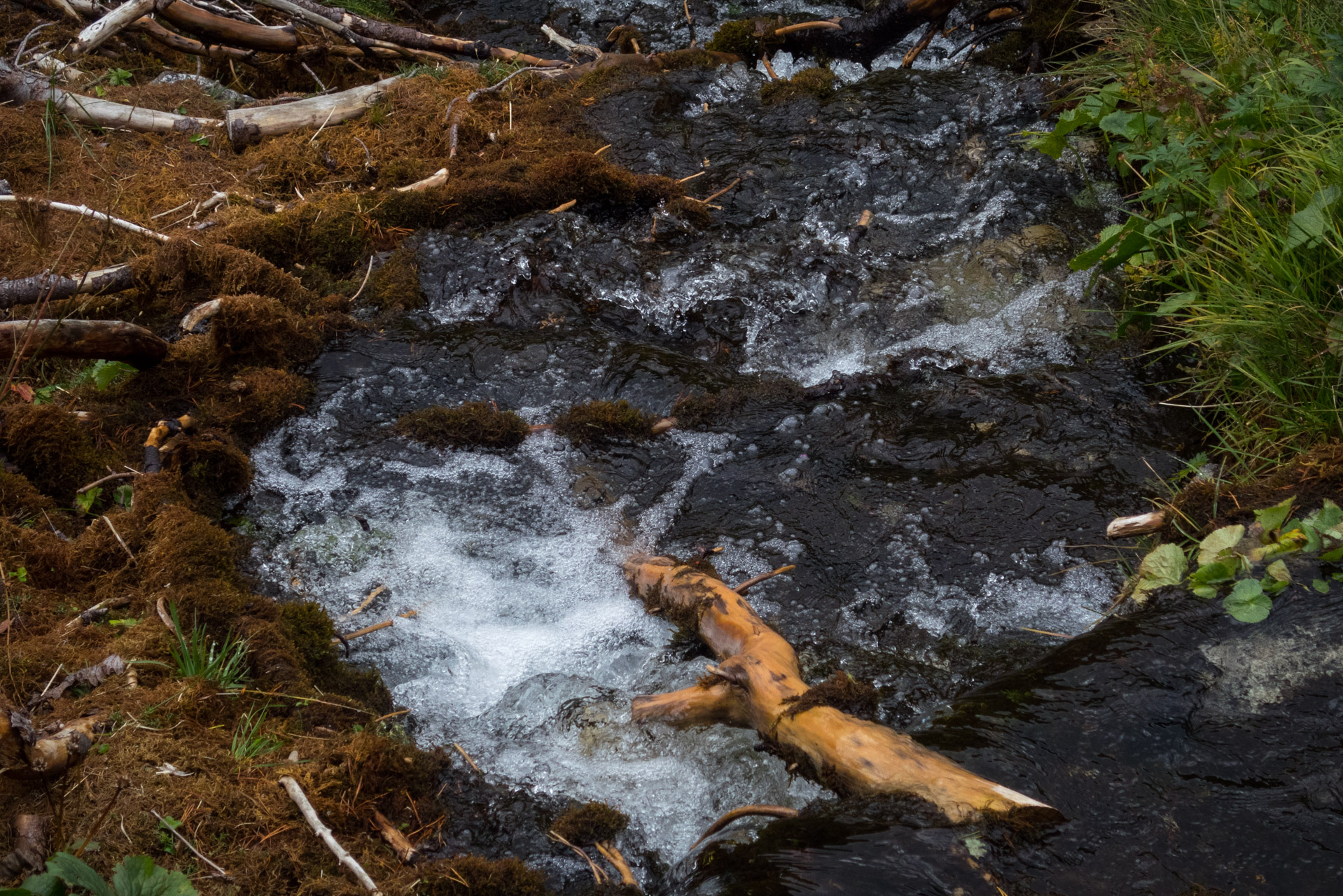 Bystrá z Hrdova (Západné Tatry)