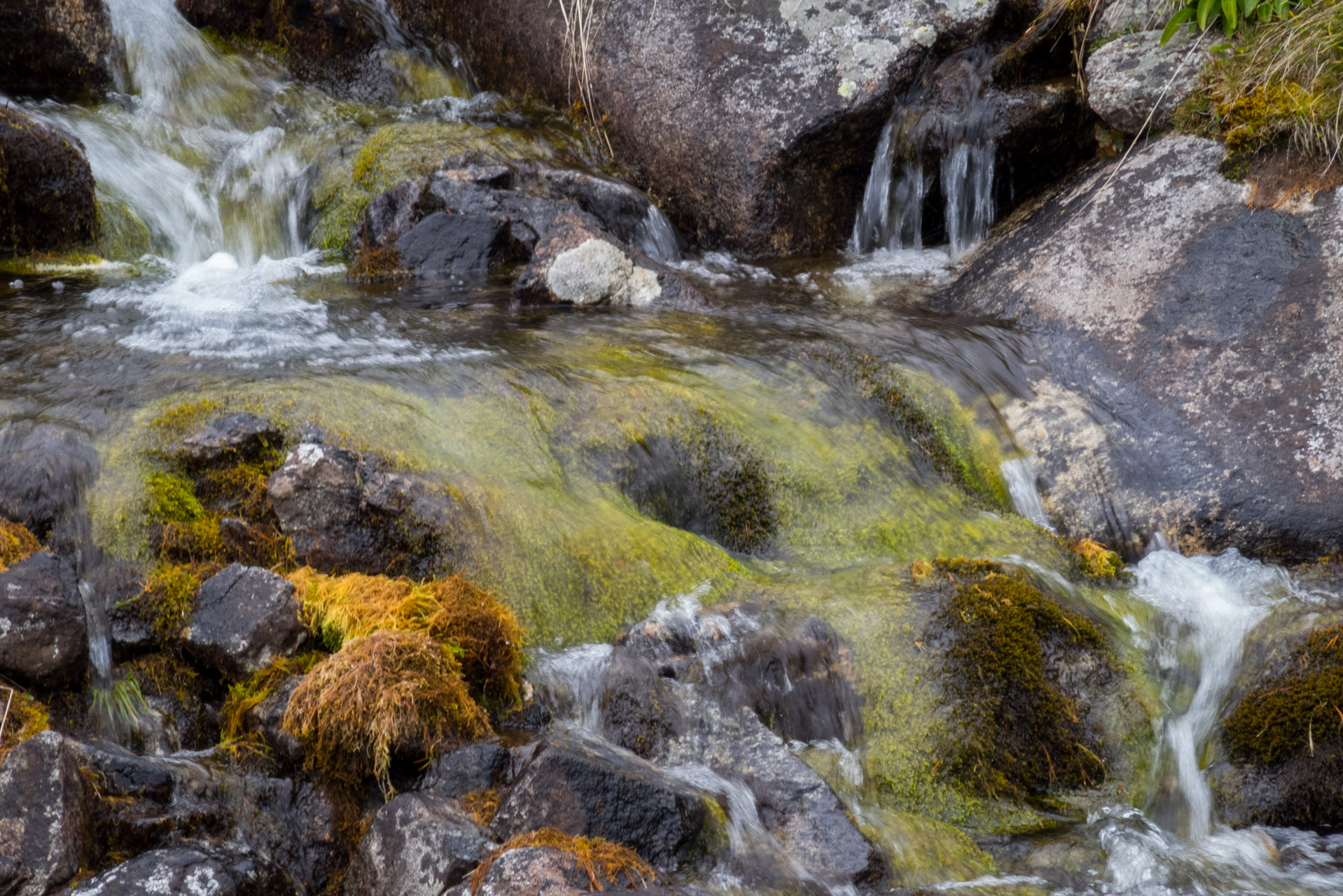 Bystrá z Hrdova (Západné Tatry)