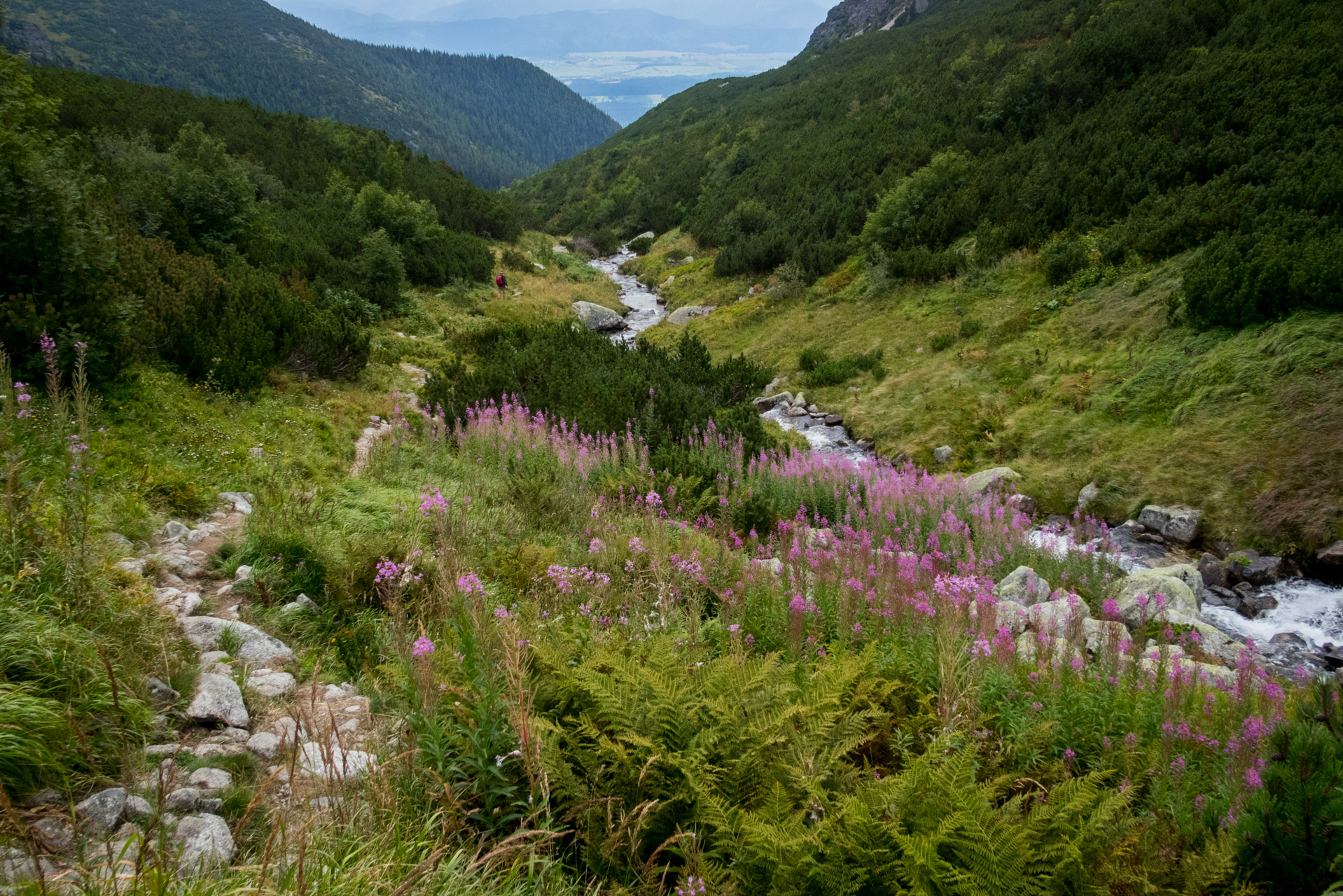 Bystrá z Hrdova (Západné Tatry)