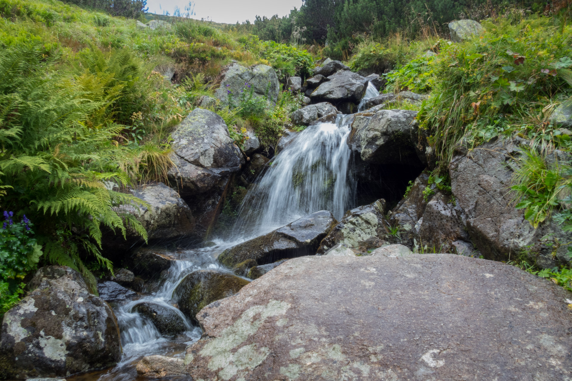 Bystrá z Hrdova (Západné Tatry)