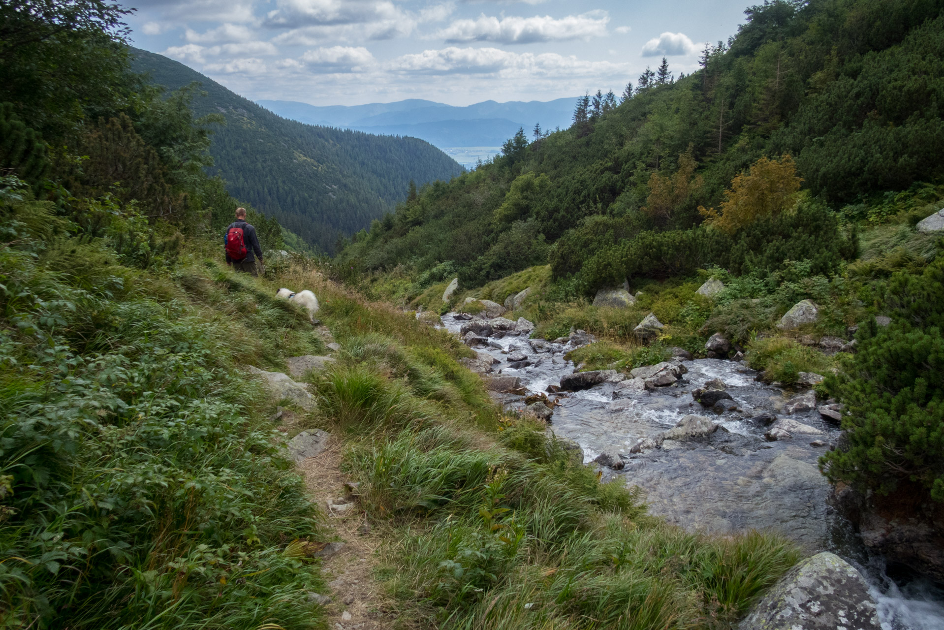 Bystrá z Hrdova (Západné Tatry)