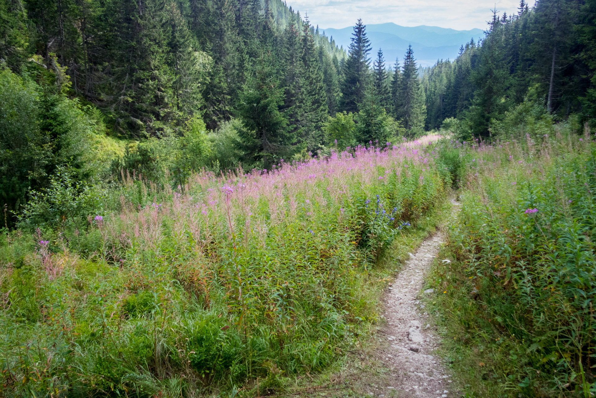 Bystrá z Hrdova (Západné Tatry)